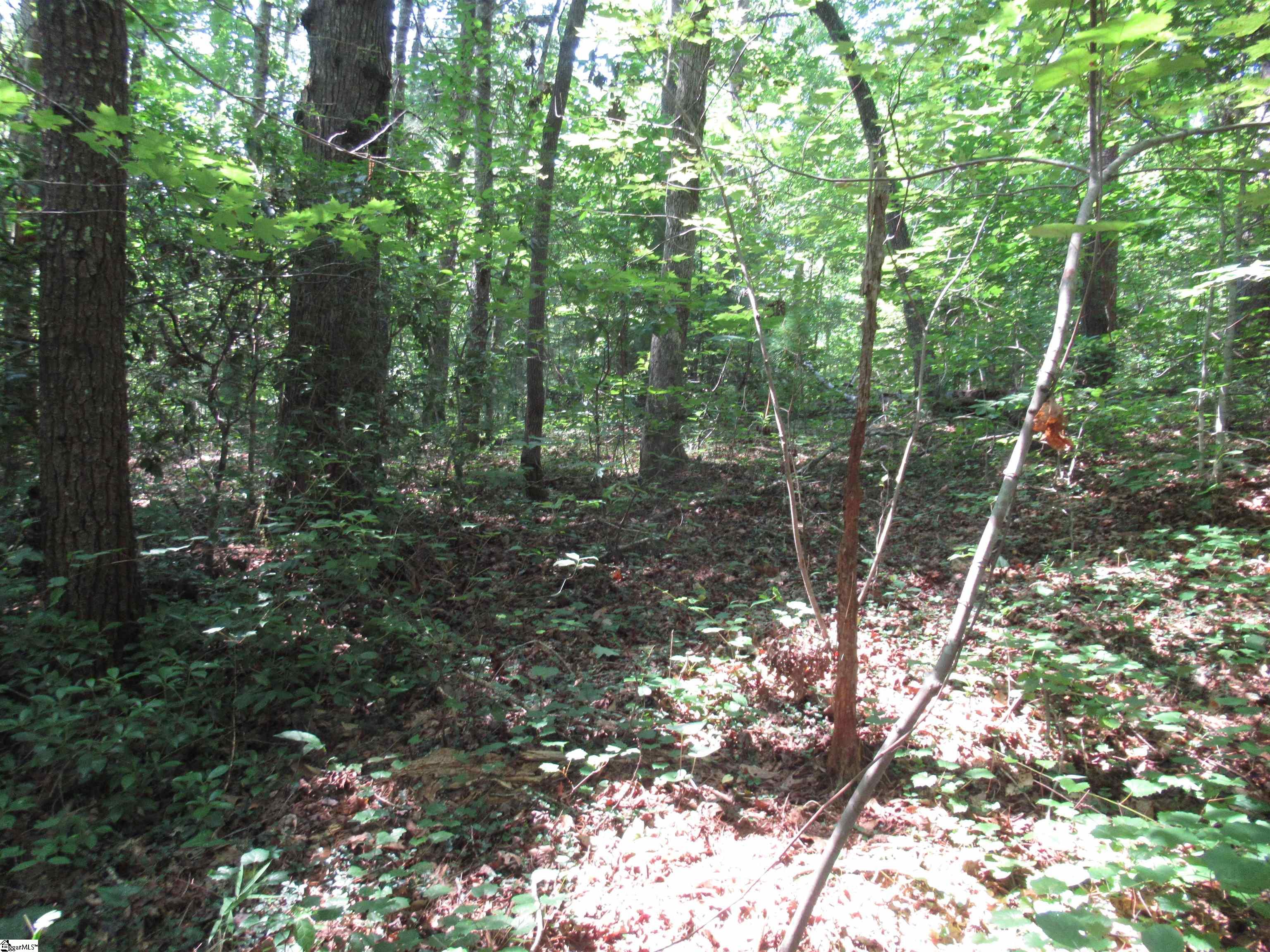00 Gauley Falls Road Pickens, SC 29671