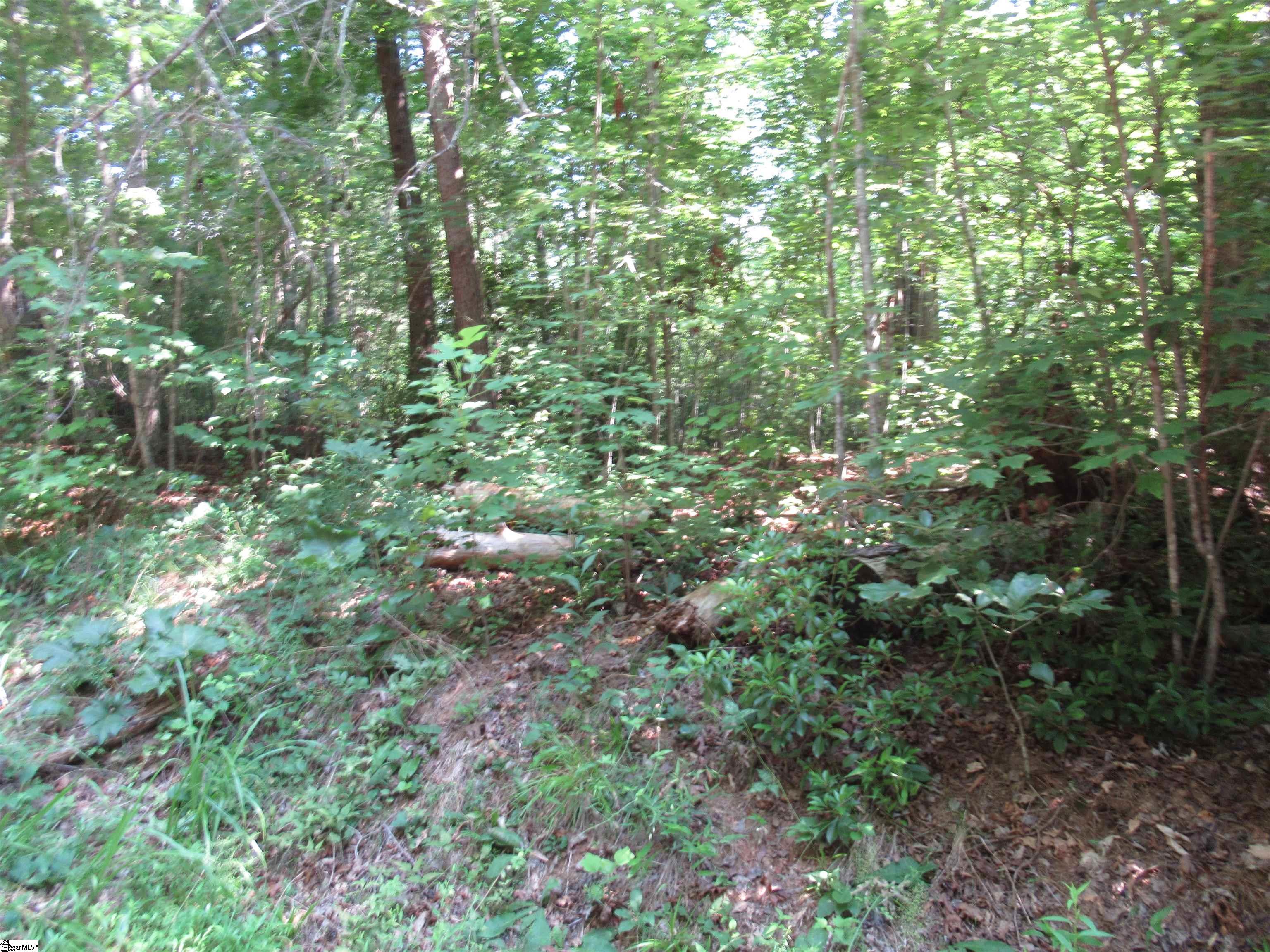 00 Gauley Falls Road Pickens, SC 29671