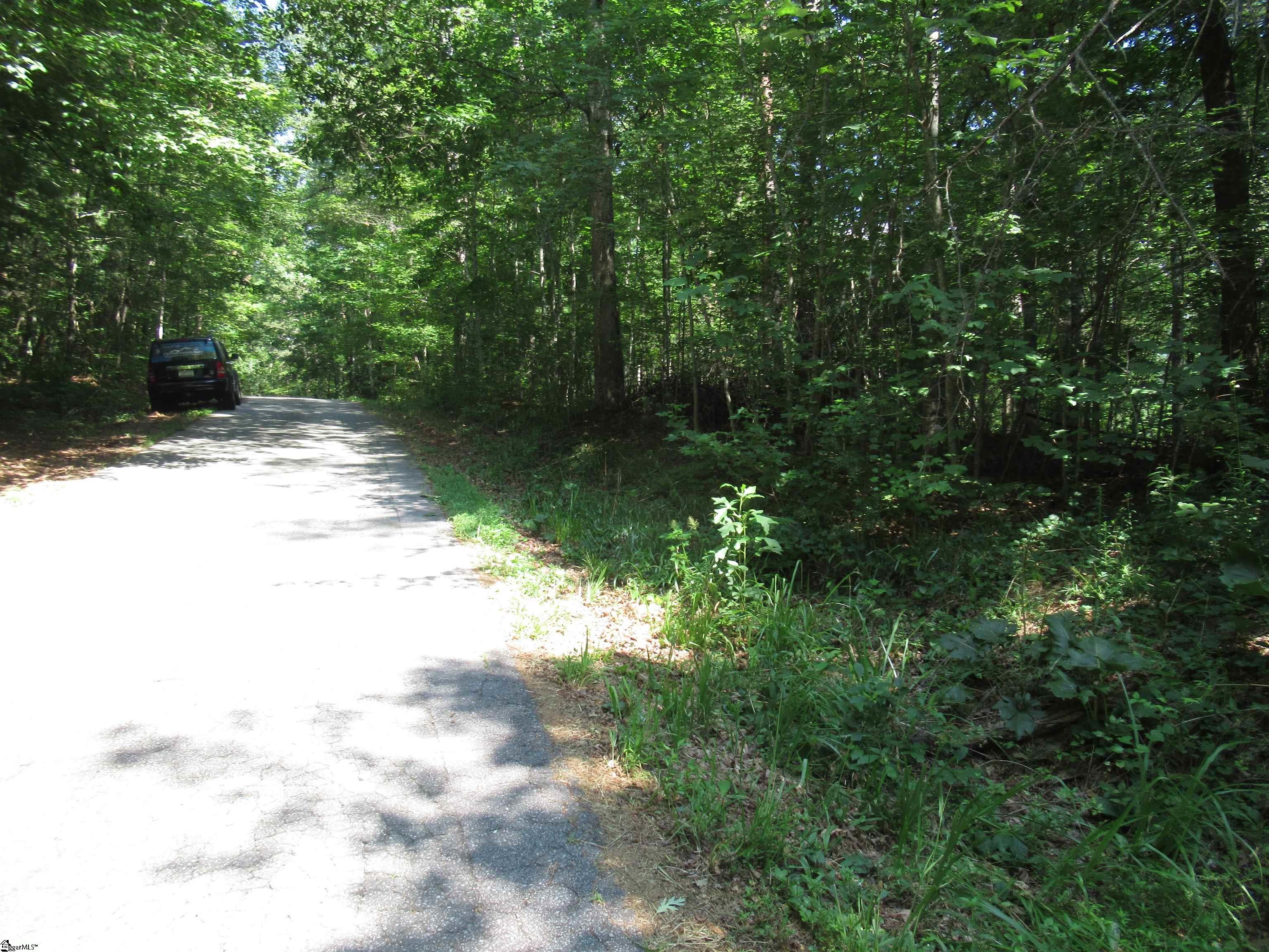 00 Gauley Falls Road Pickens, SC 29671