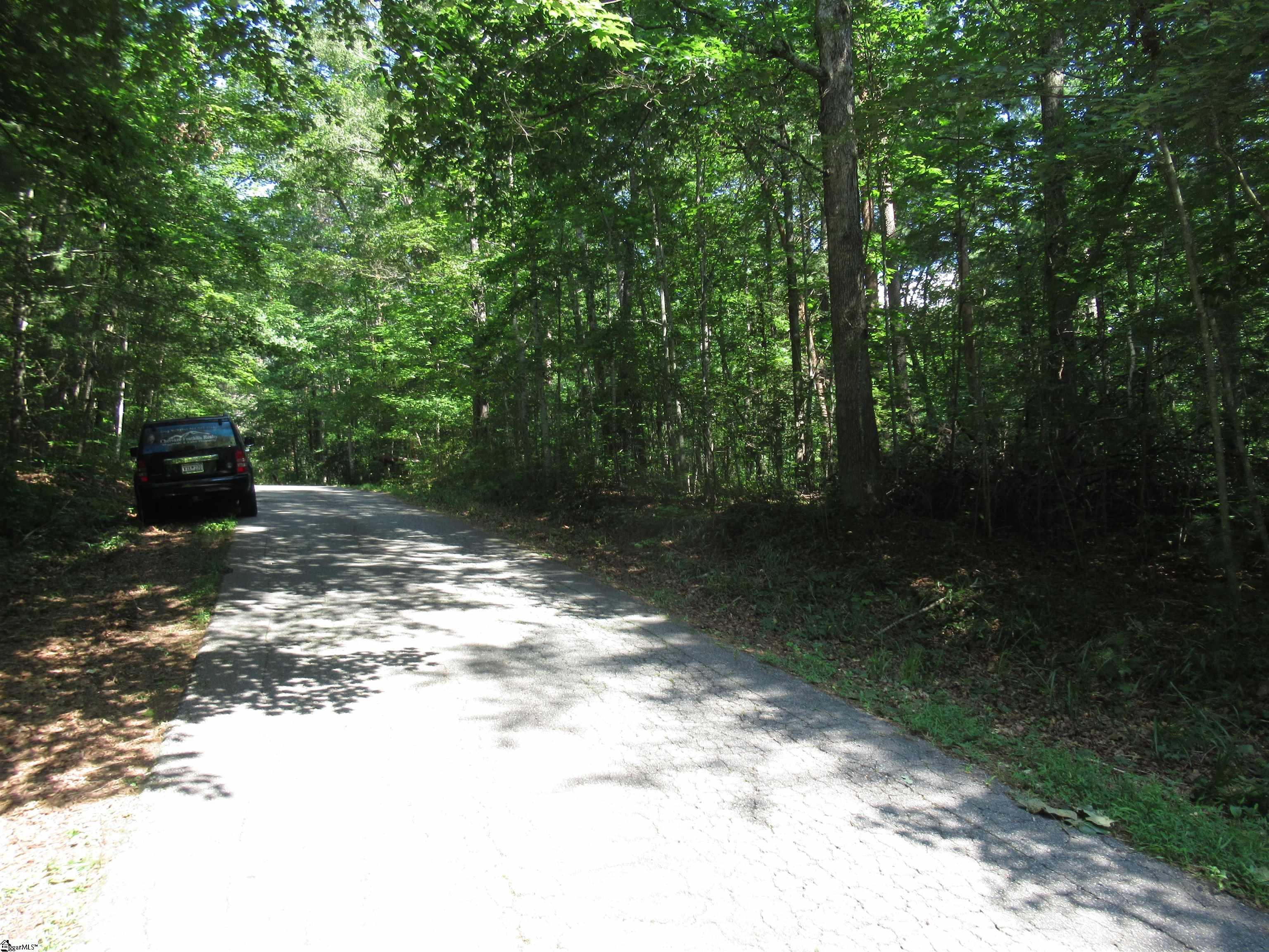 00 Gauley Falls Road Pickens, SC 29671