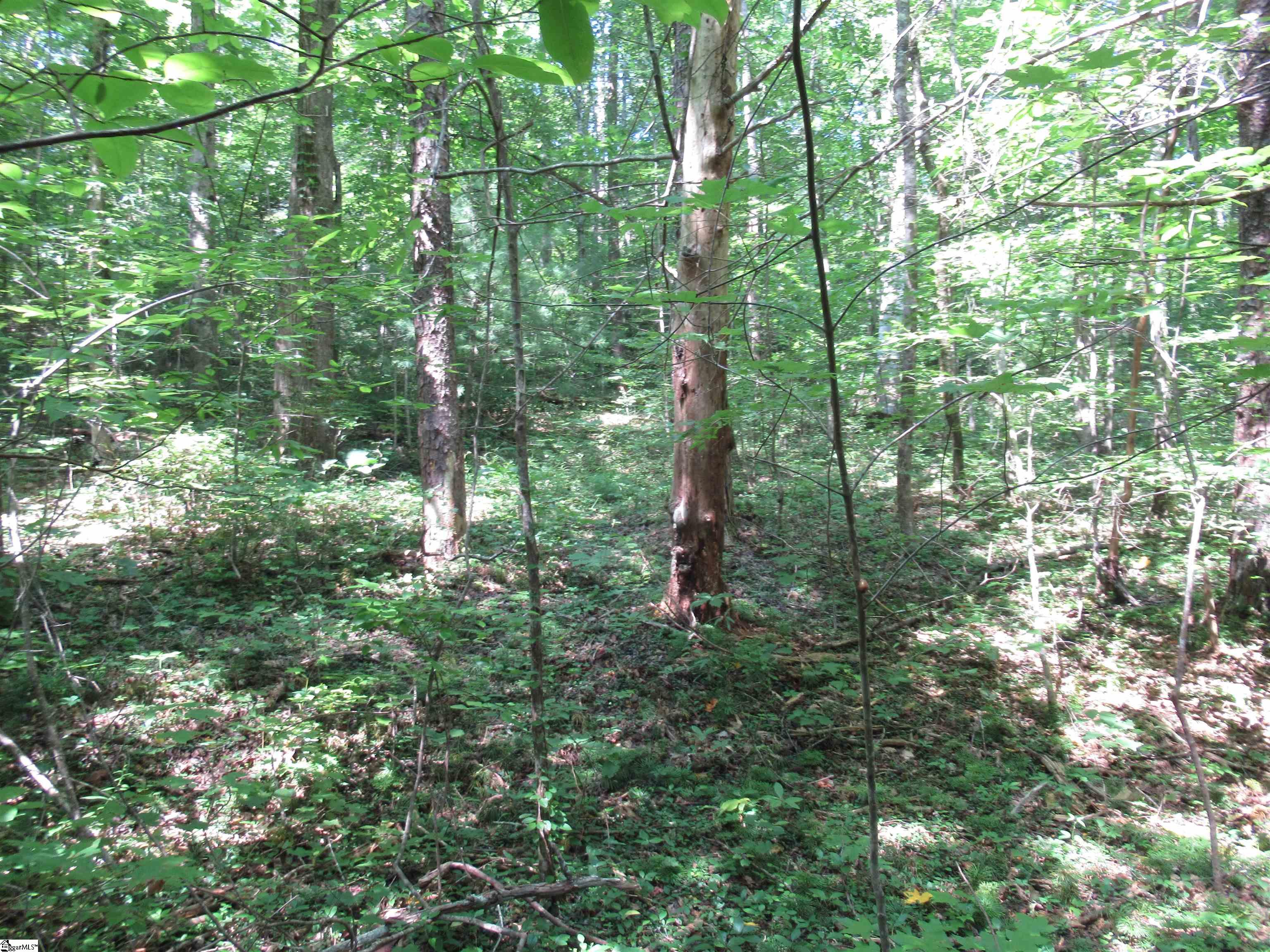 00 Gauley Falls Road Pickens, SC 29671
