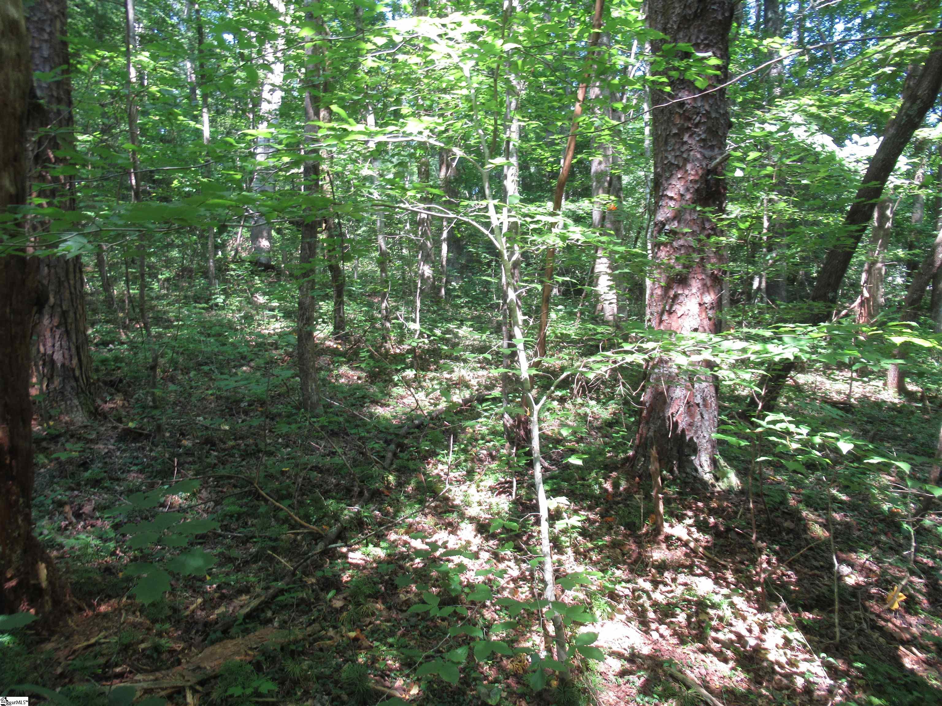 00 Gauley Falls Road Pickens, SC 29671