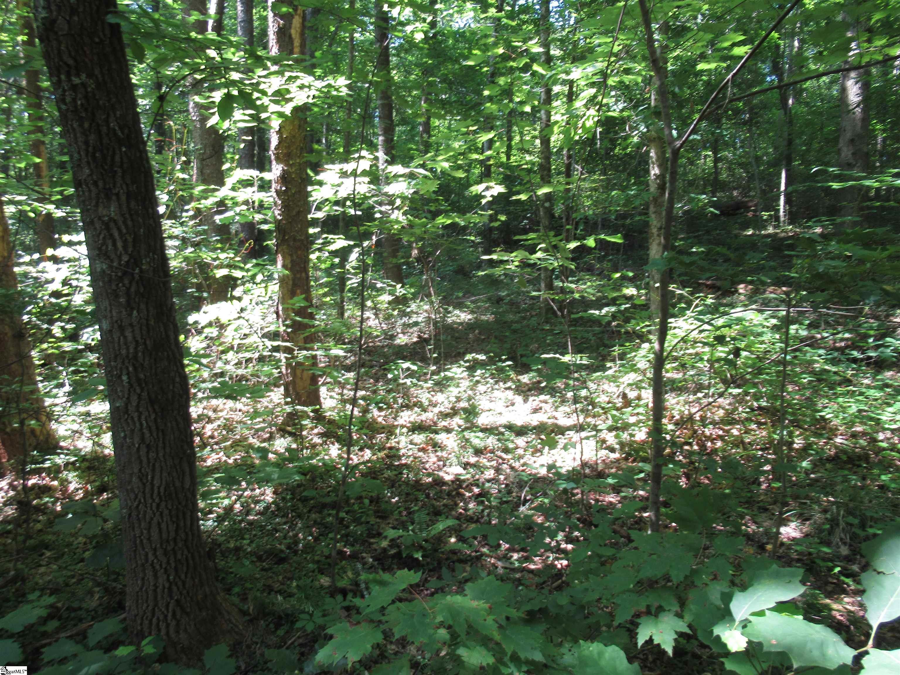 00 Gauley Falls Road Pickens, SC 29671