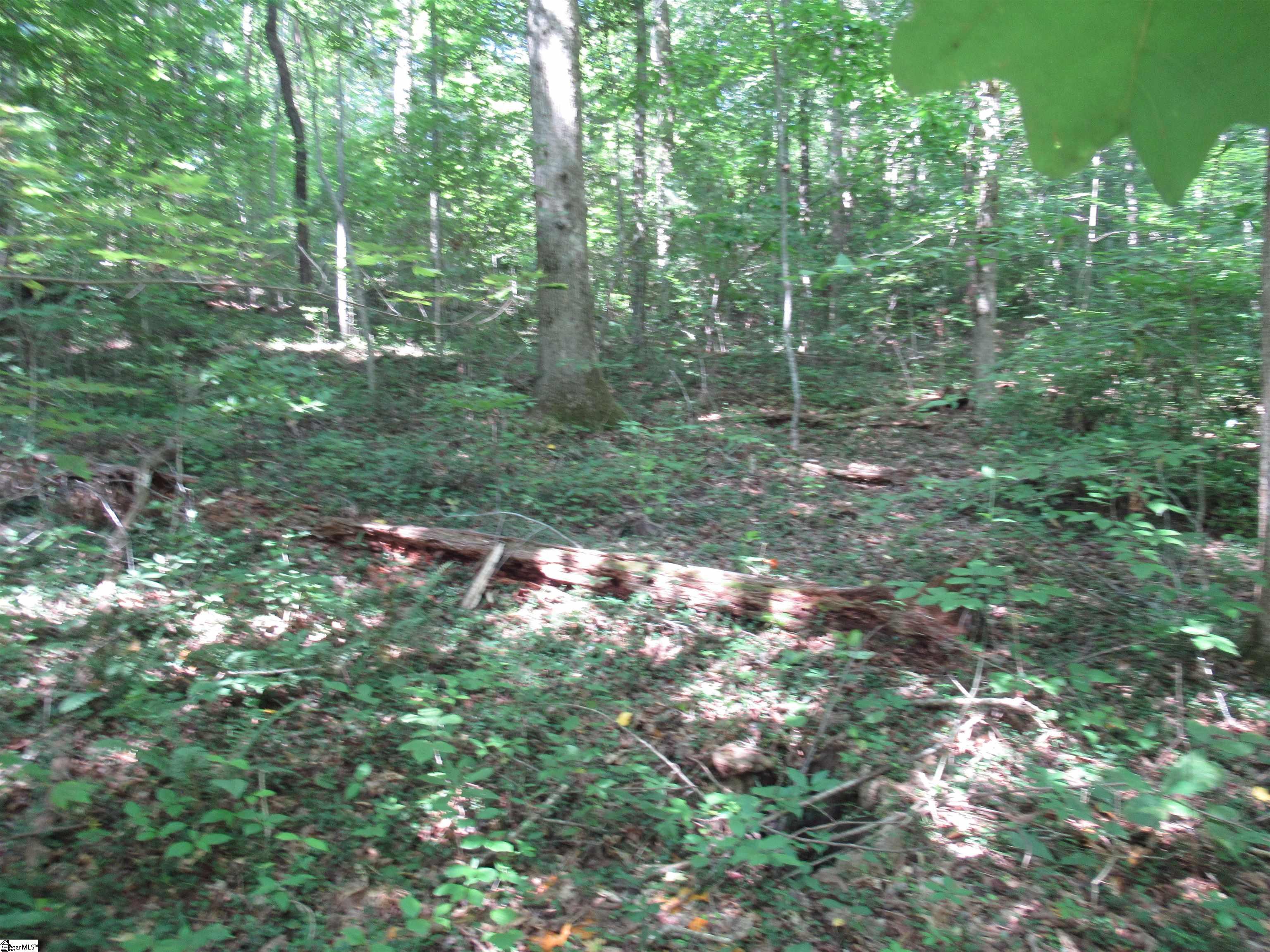 00 Gauley Falls Road Pickens, SC 29671