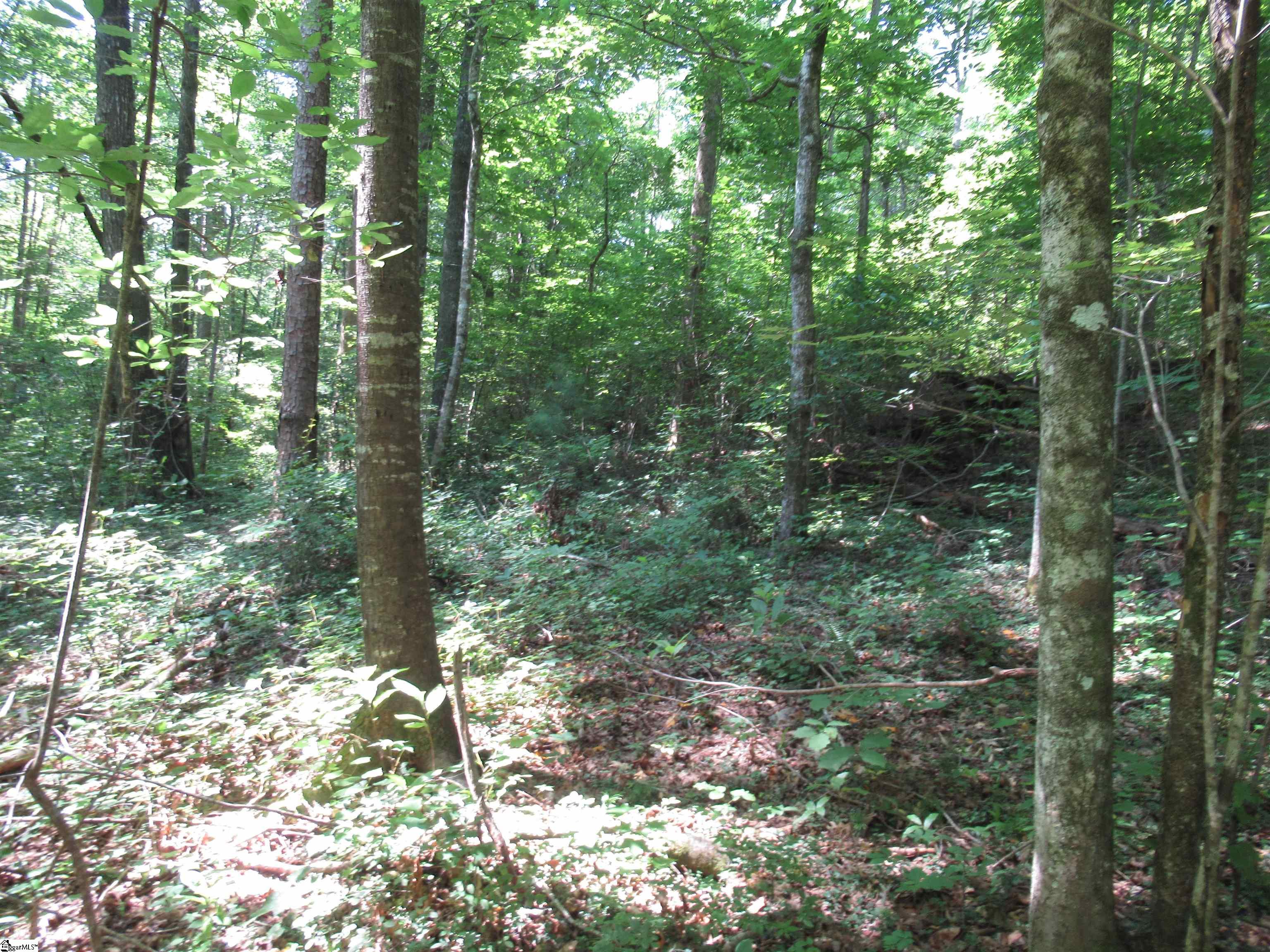 00 Gauley Falls Road Pickens, SC 29671