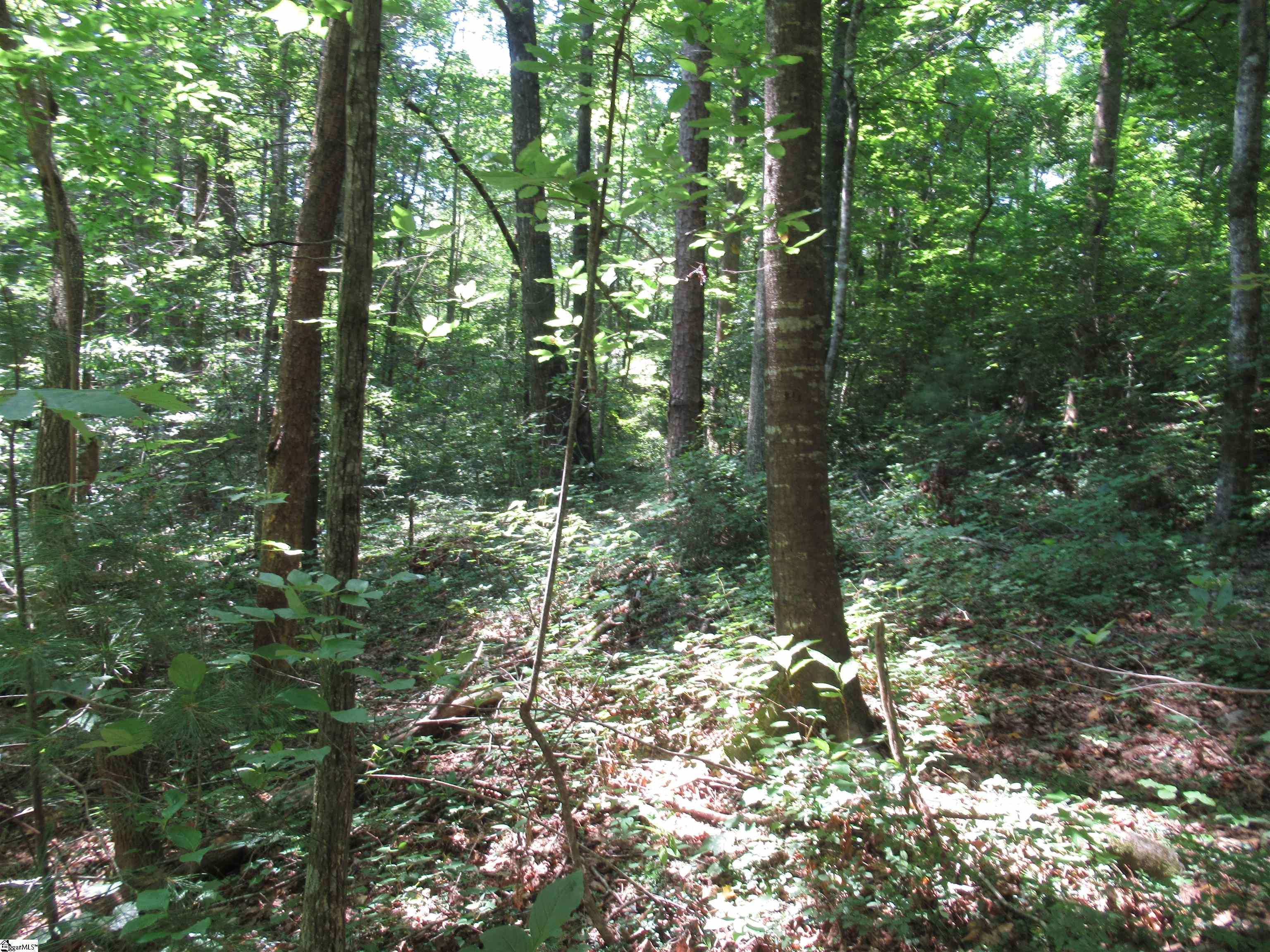 00 Gauley Falls Road Pickens, SC 29671