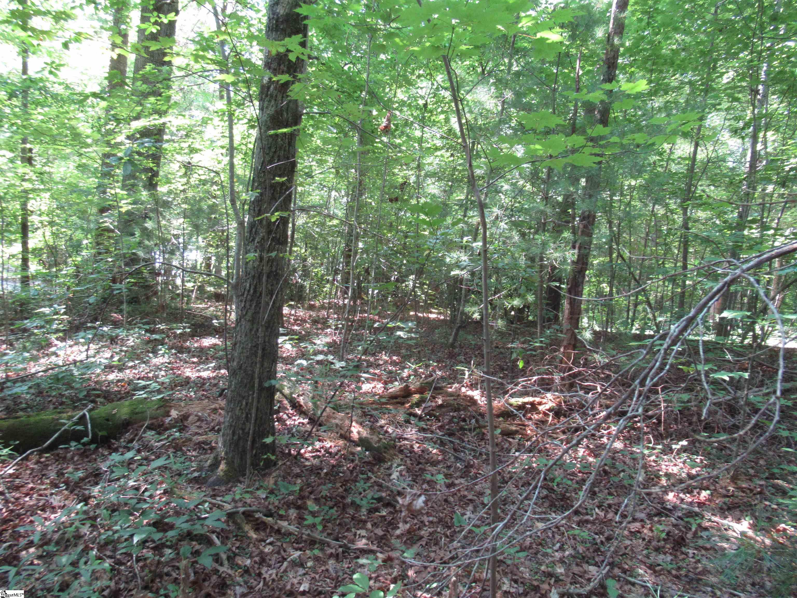 00 Gauley Falls Road Pickens, SC 29671