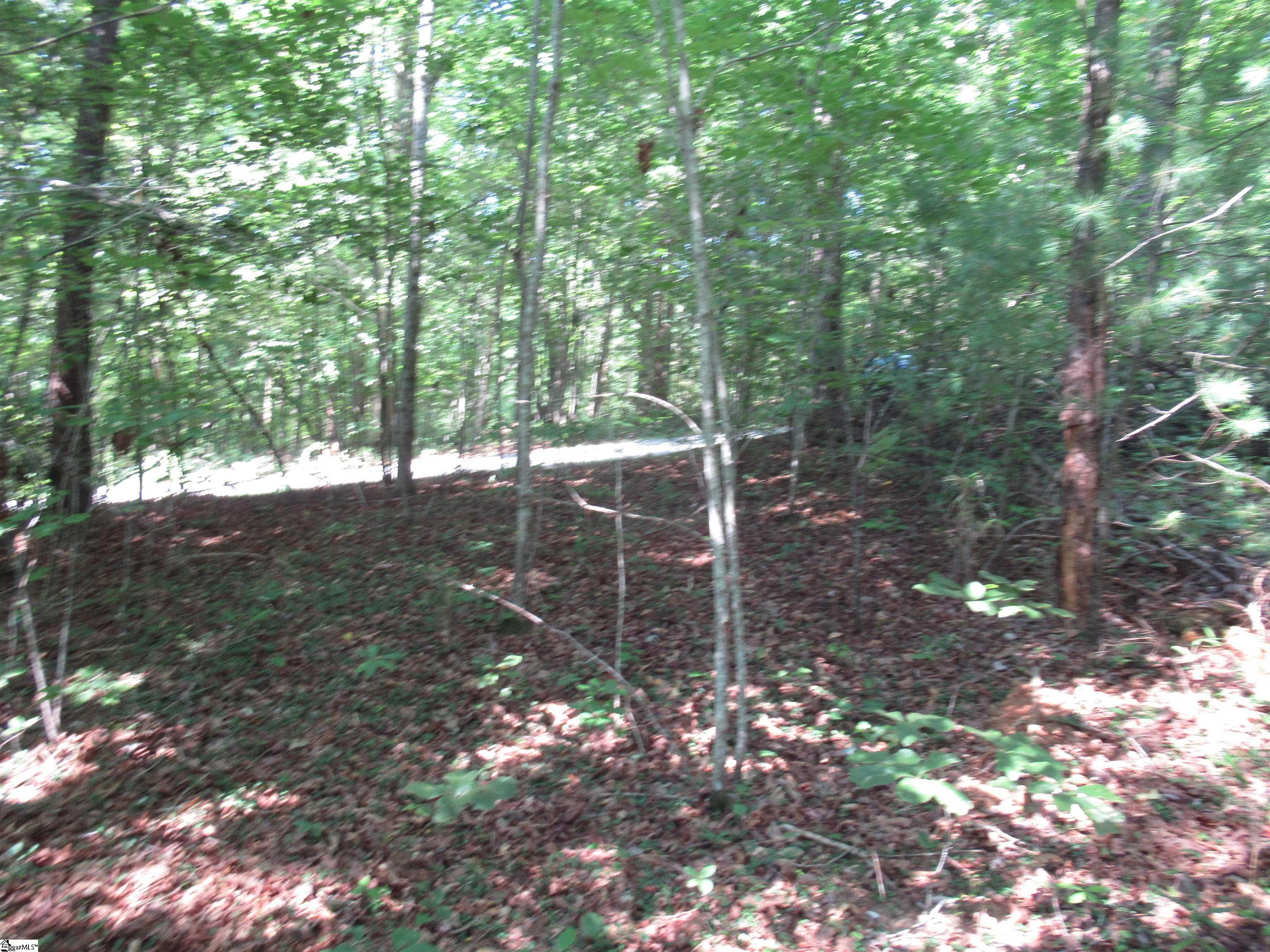 00 Gauley Falls Road Pickens, SC 29671