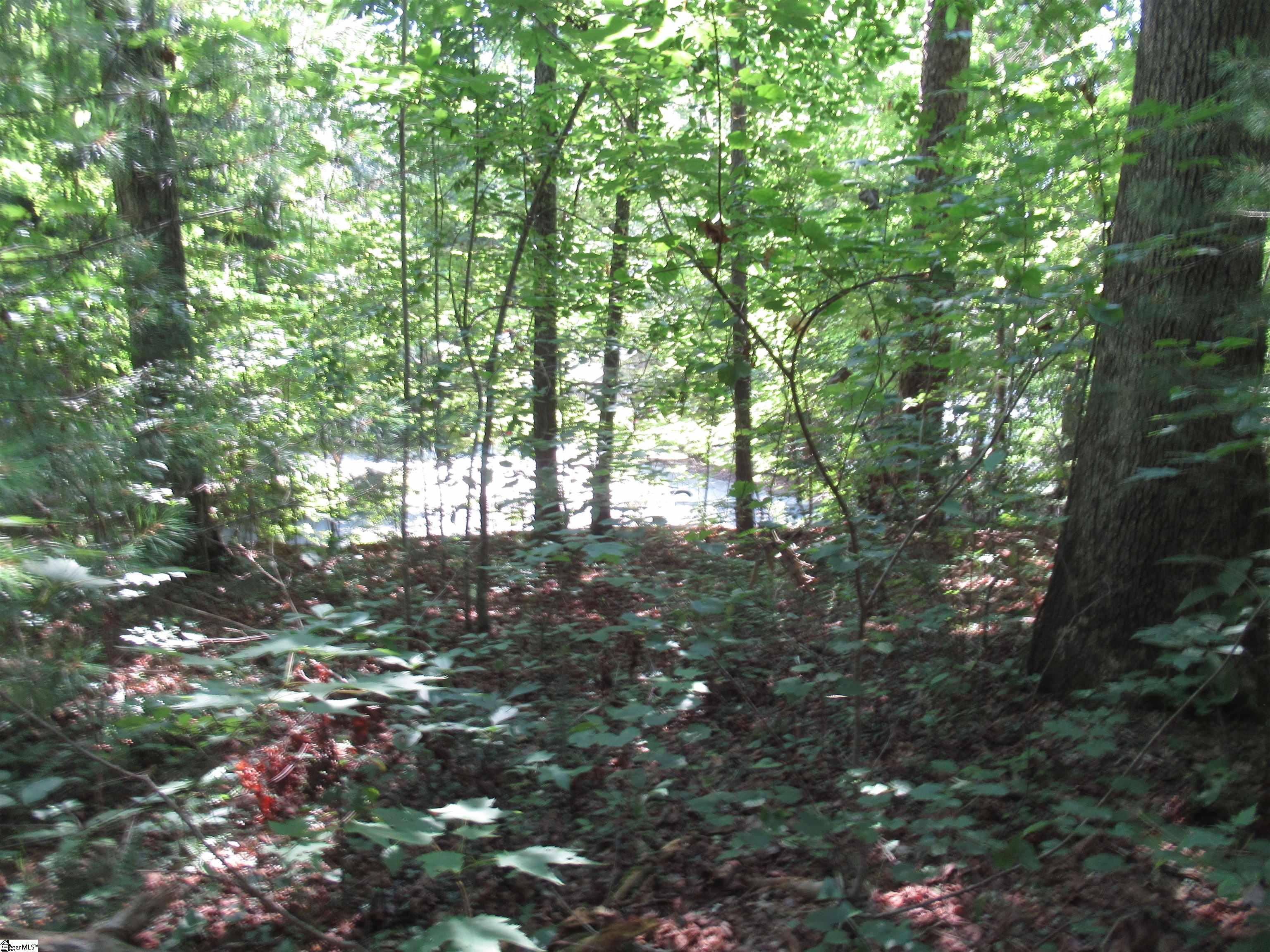 00 Gauley Falls Road Pickens, SC 29671