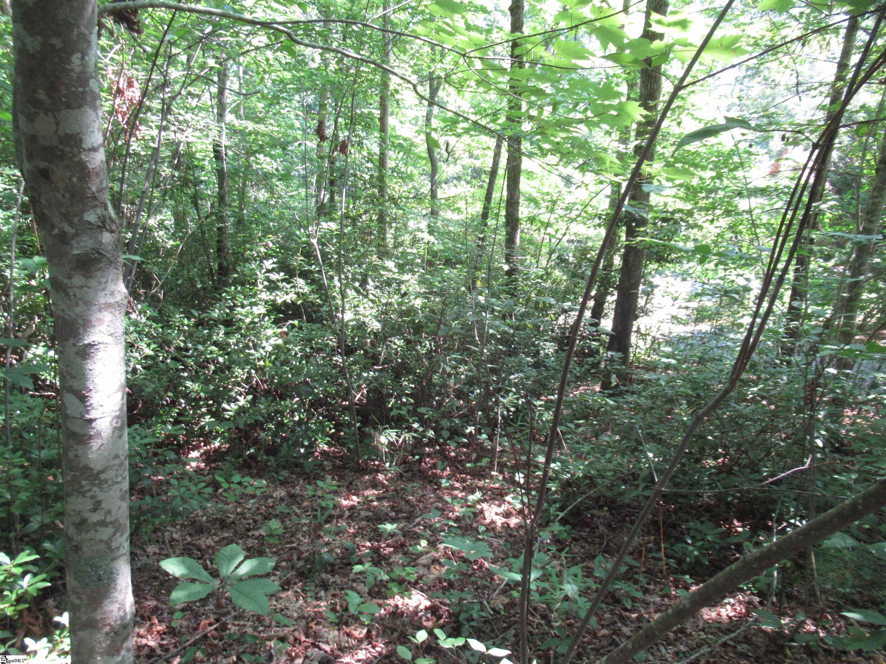 00 Gauley Falls Road Pickens, SC 29671