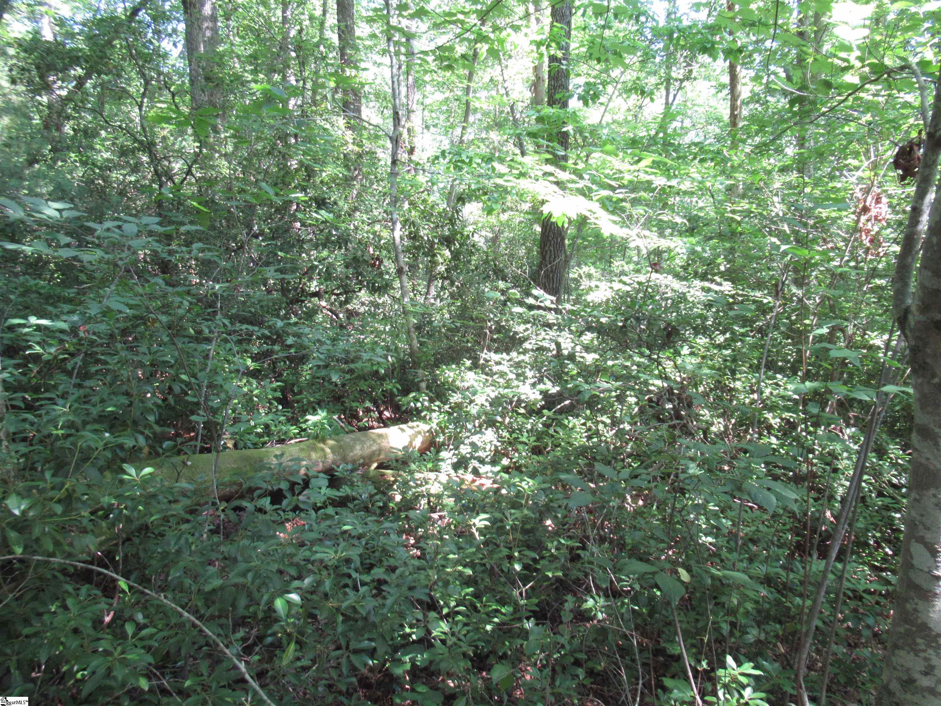 00 Gauley Falls Road Pickens, SC 29671