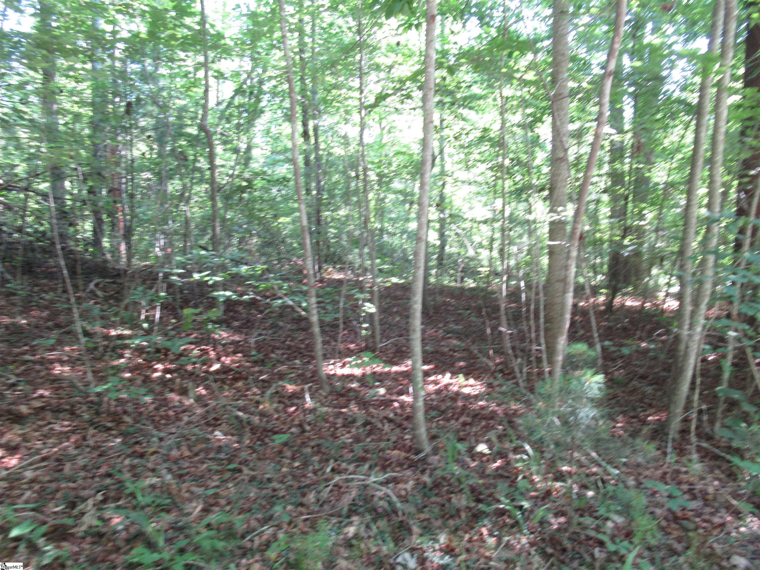 00 Gauley Falls Road Pickens, SC 29671