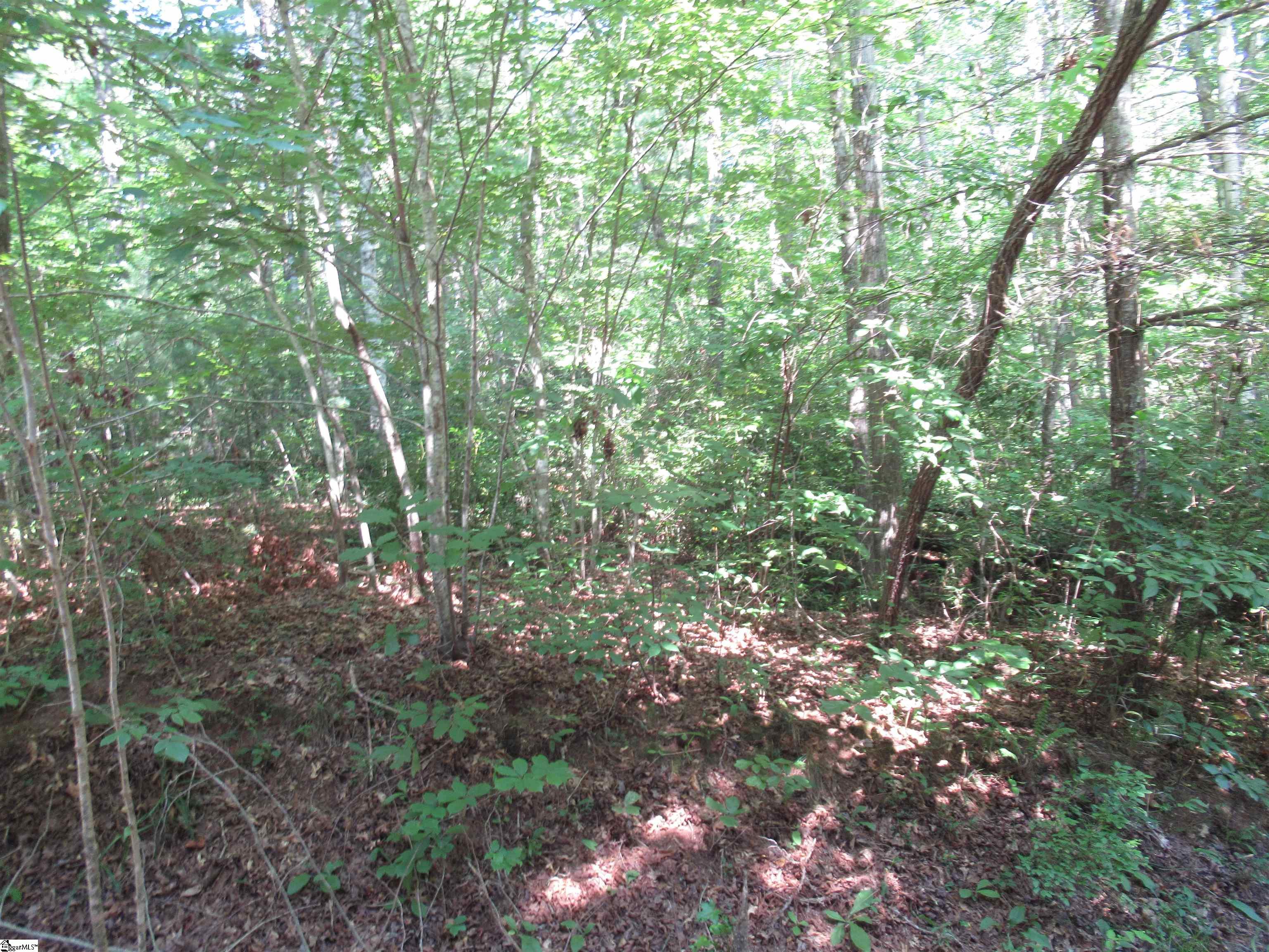 00 Gauley Falls Road Pickens, SC 29671