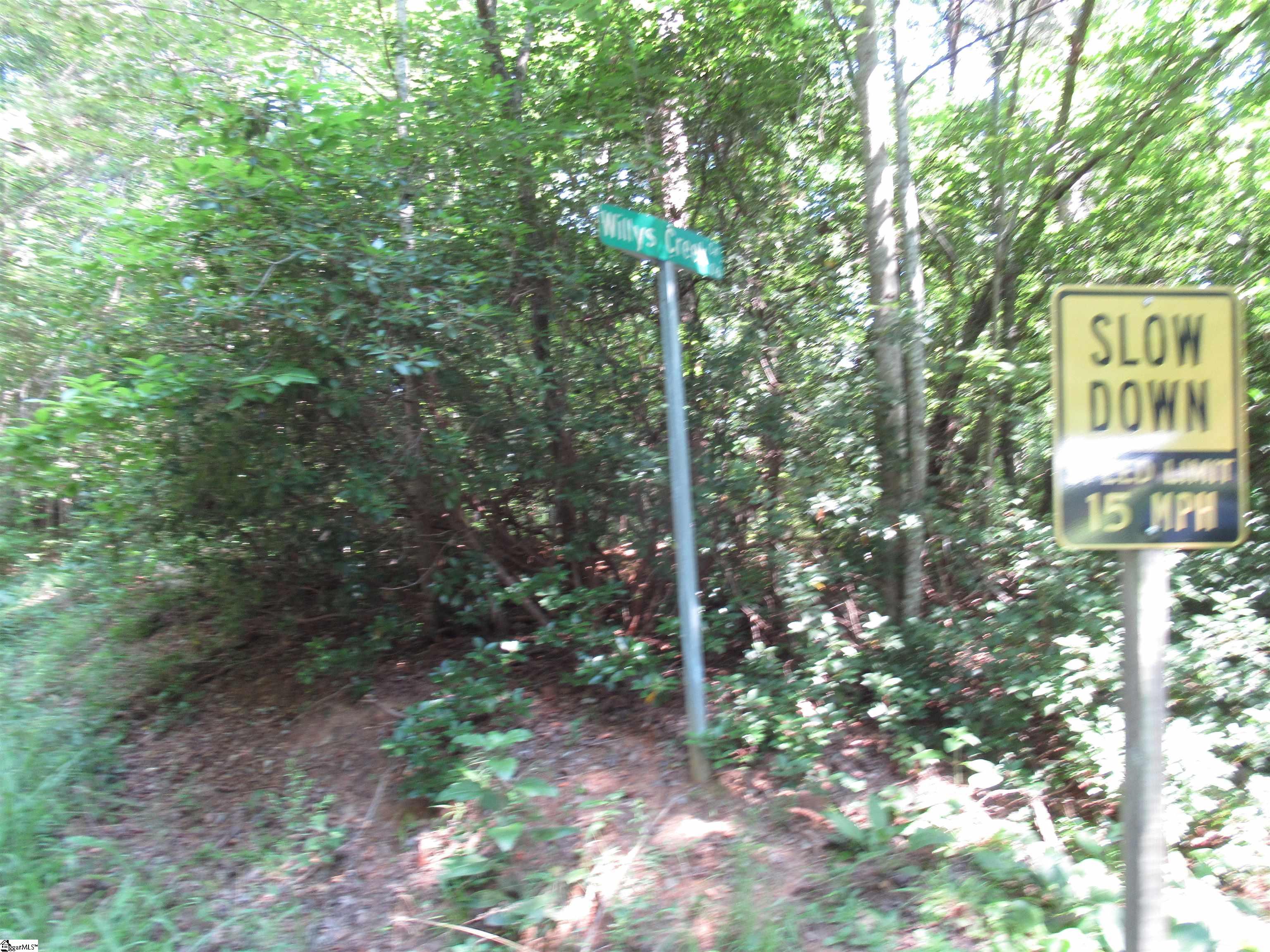 00 Gauley Falls Road Pickens, SC 29671
