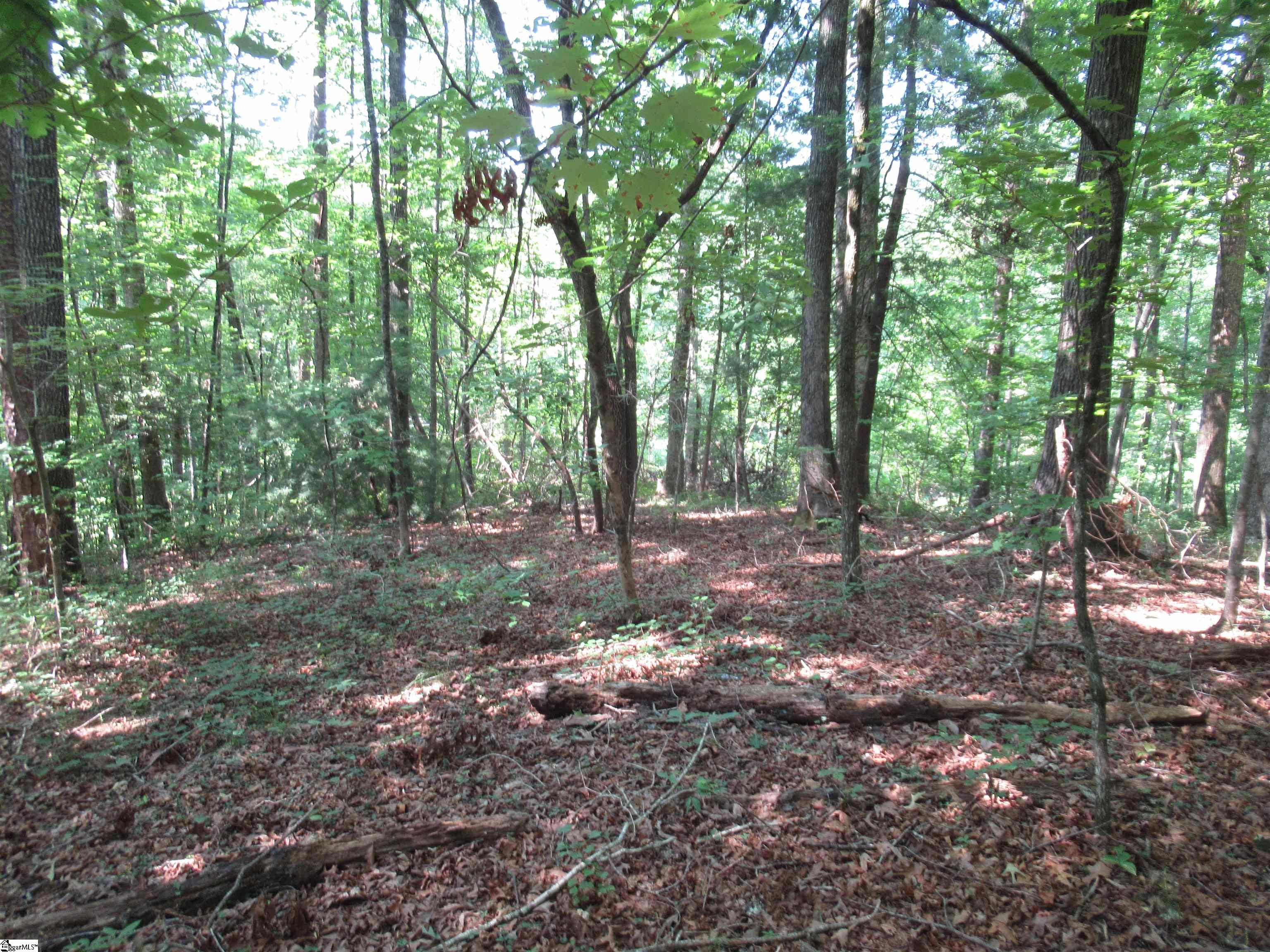 205 Gauley Falls Road Pickens, SC 29671