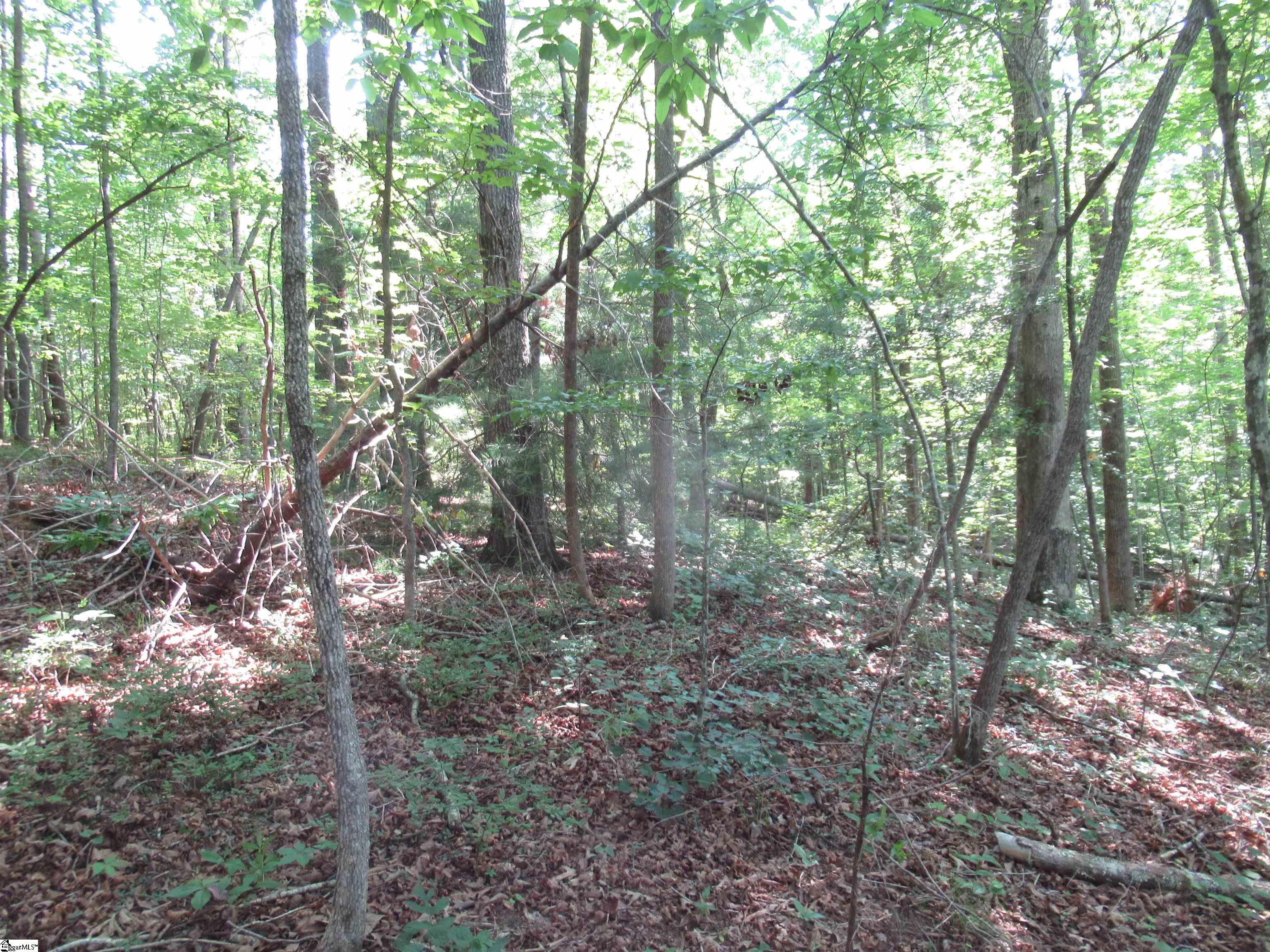 205 Gauley Falls Road Pickens, SC 29671