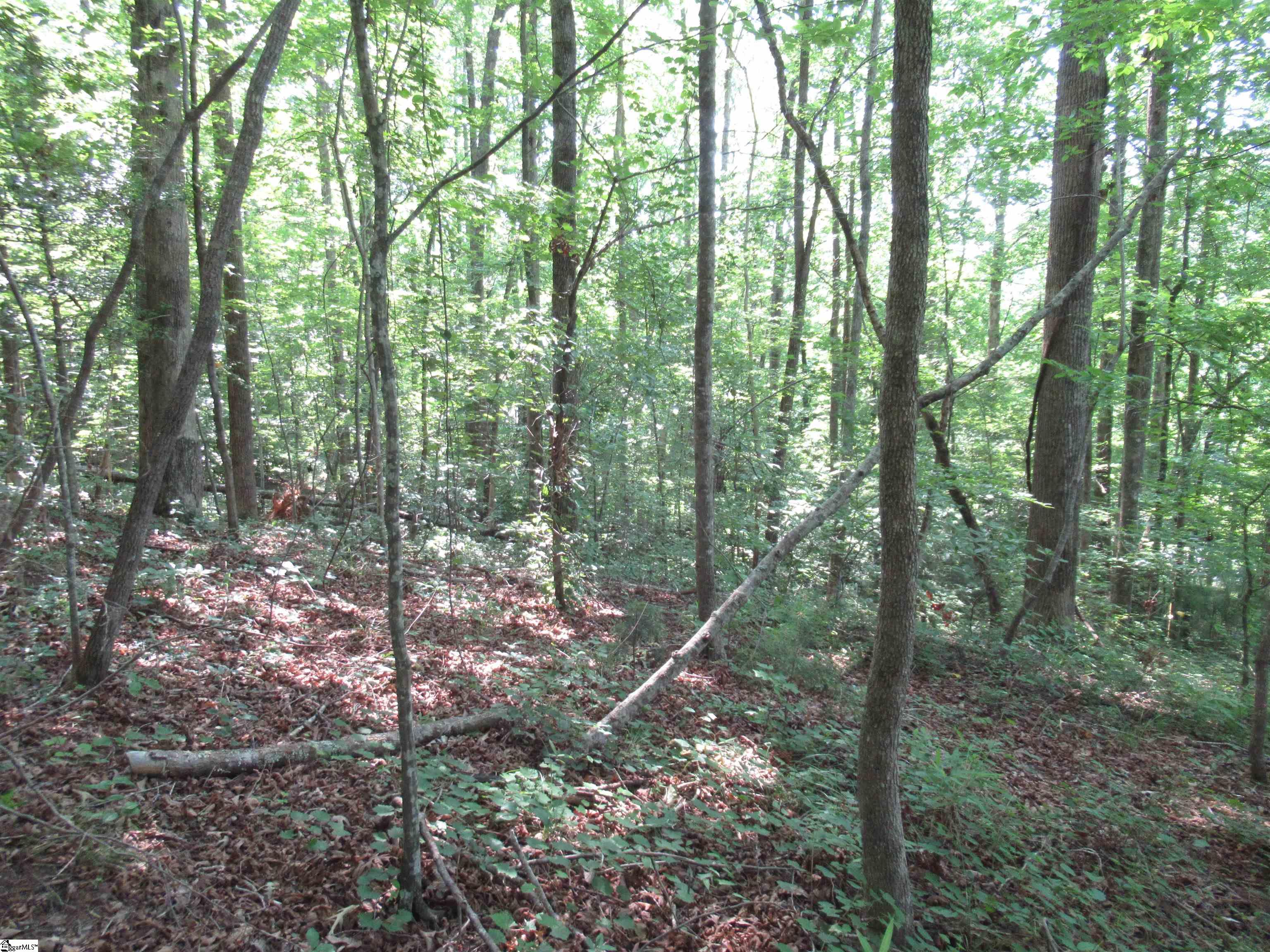205 Gauley Falls Road Pickens, SC 29671