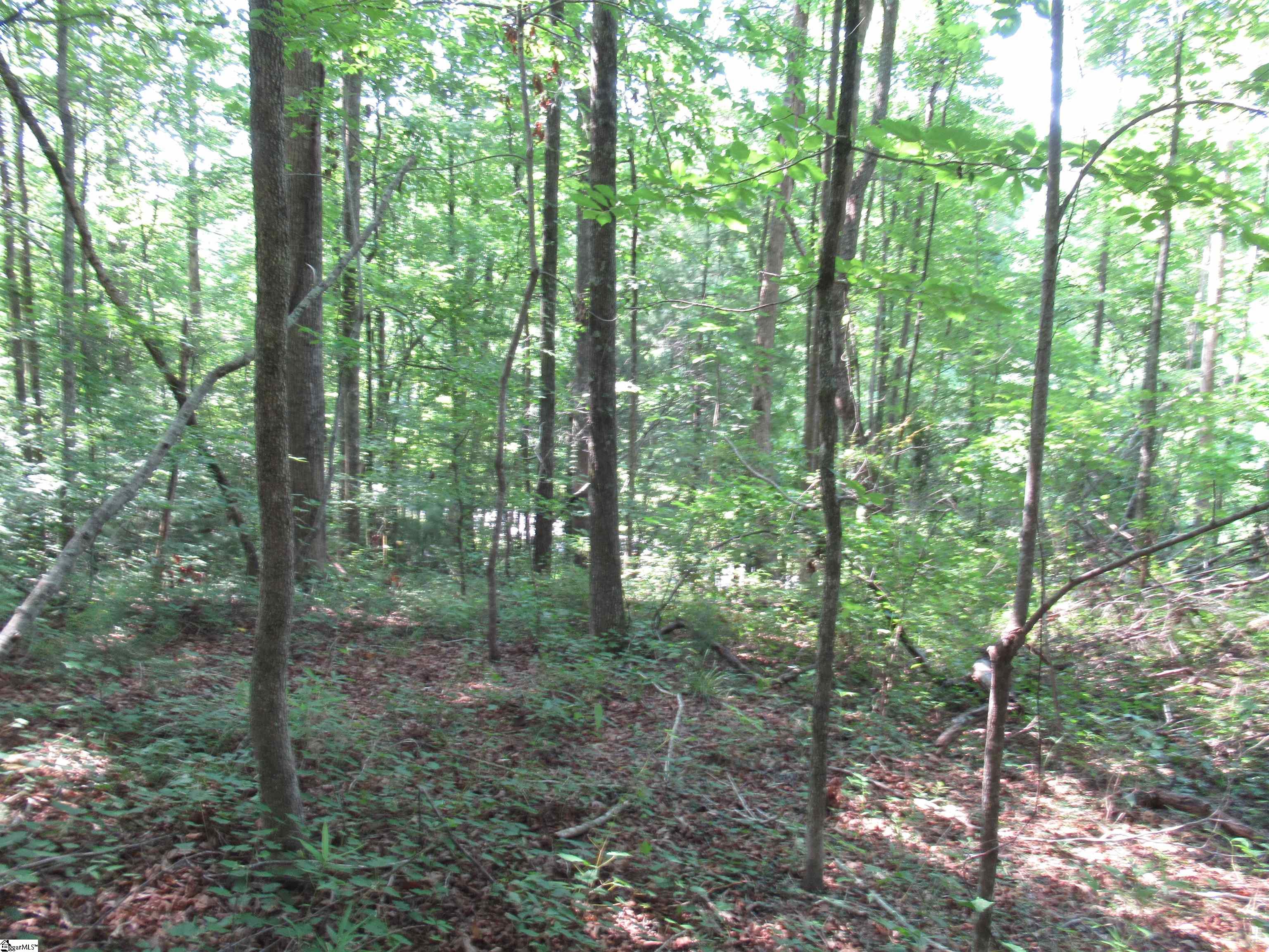 205 Gauley Falls Road Pickens, SC 29671