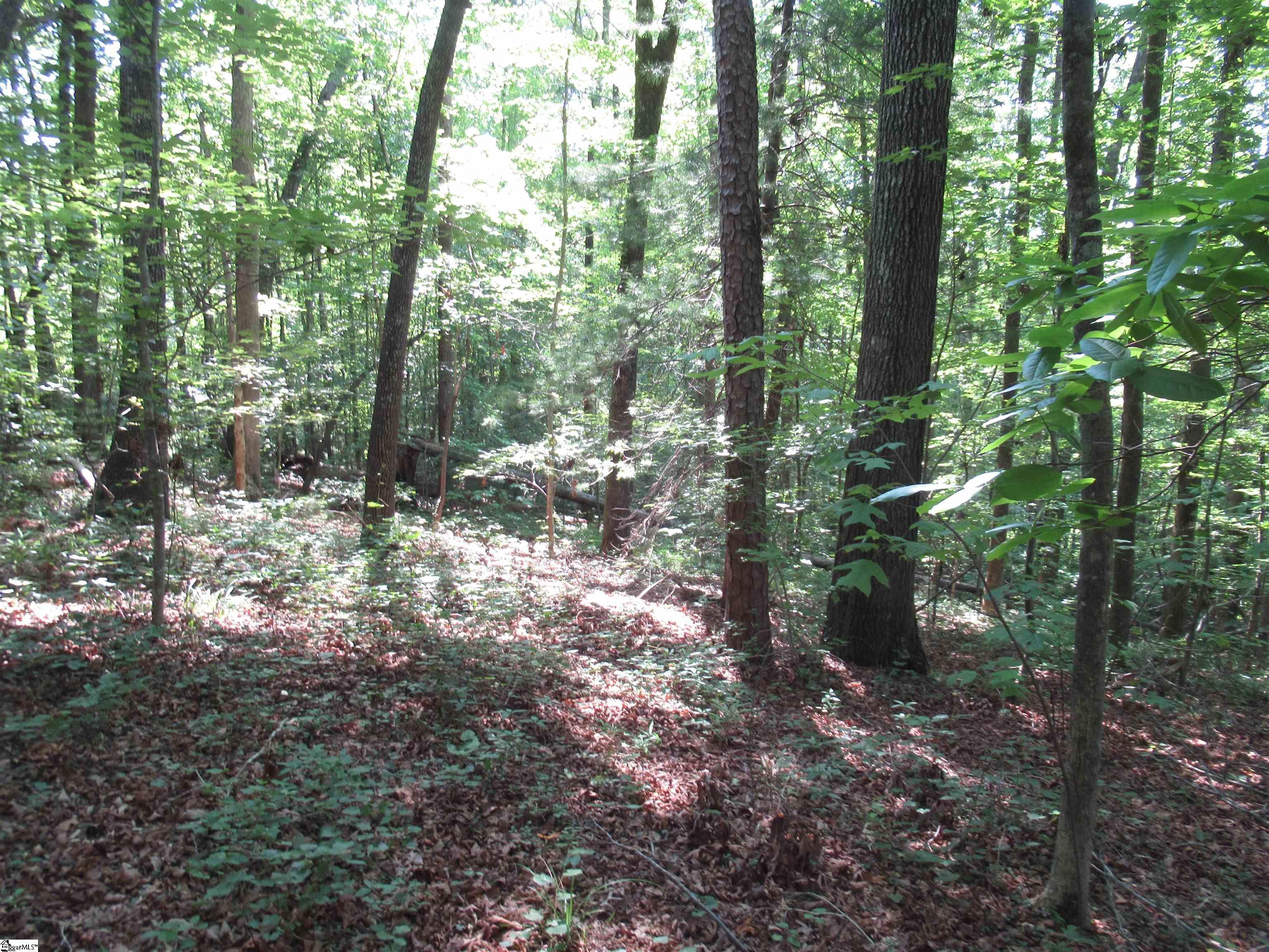 205 Gauley Falls Road Pickens, SC 29671