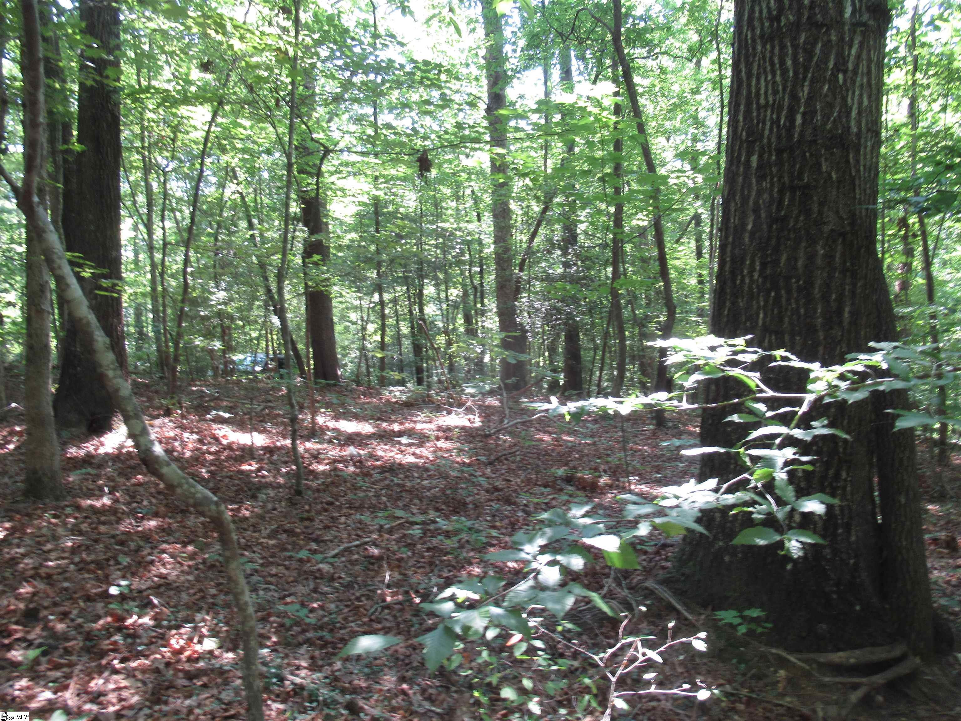 205 Gauley Falls Road Pickens, SC 29671