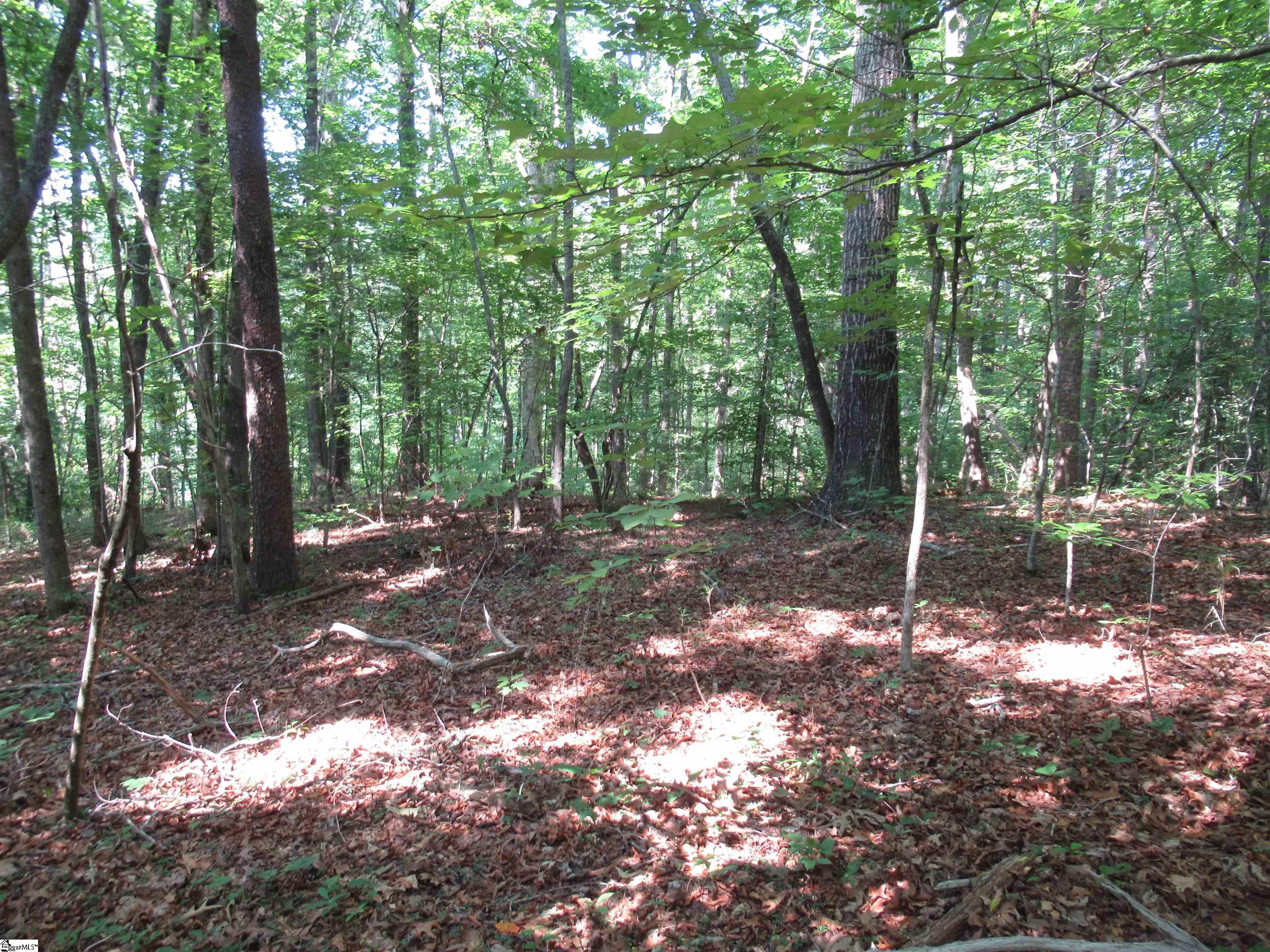 205 Gauley Falls Road Pickens, SC 29671