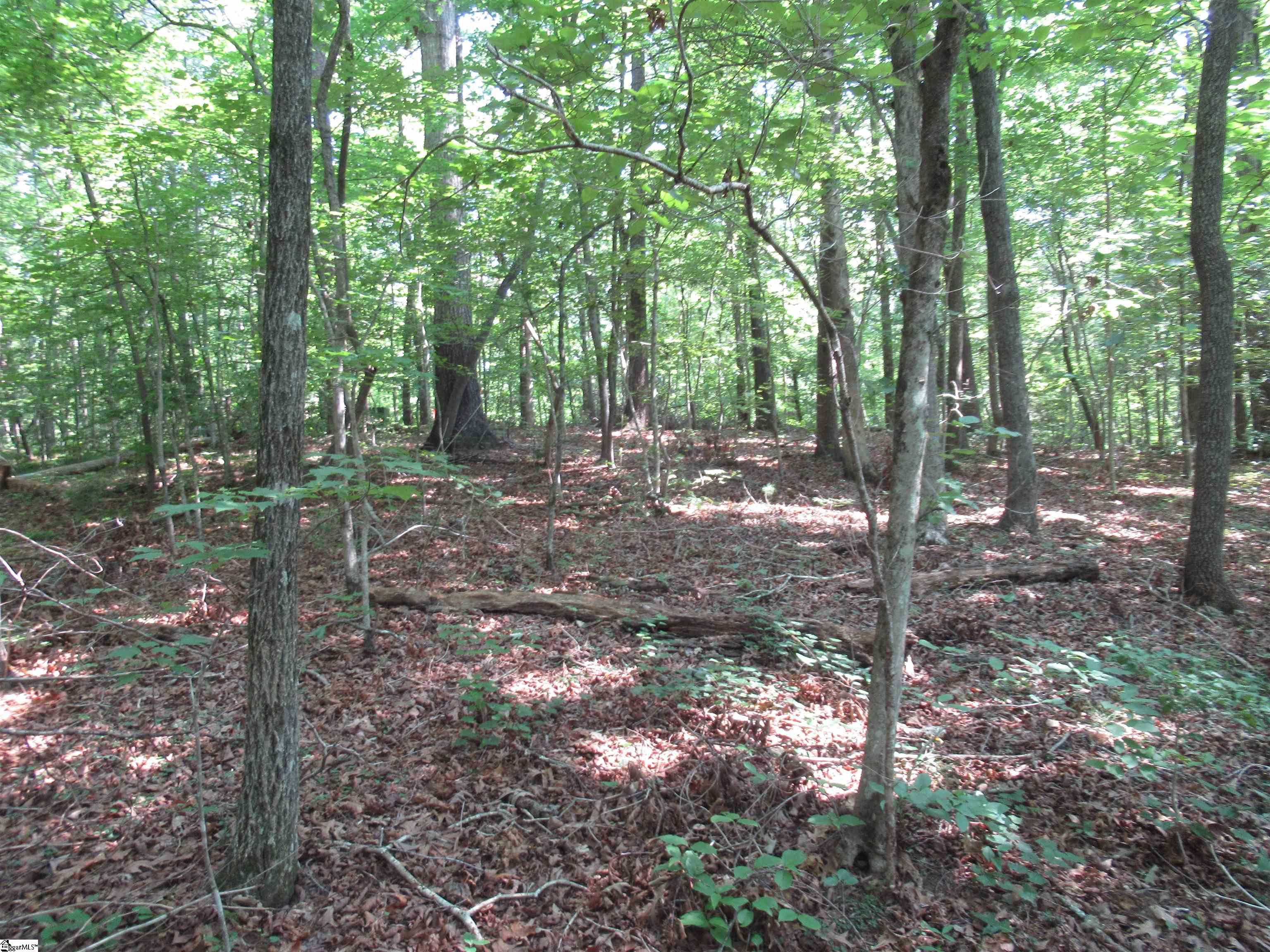 205 Gauley Falls Road Pickens, SC 29671