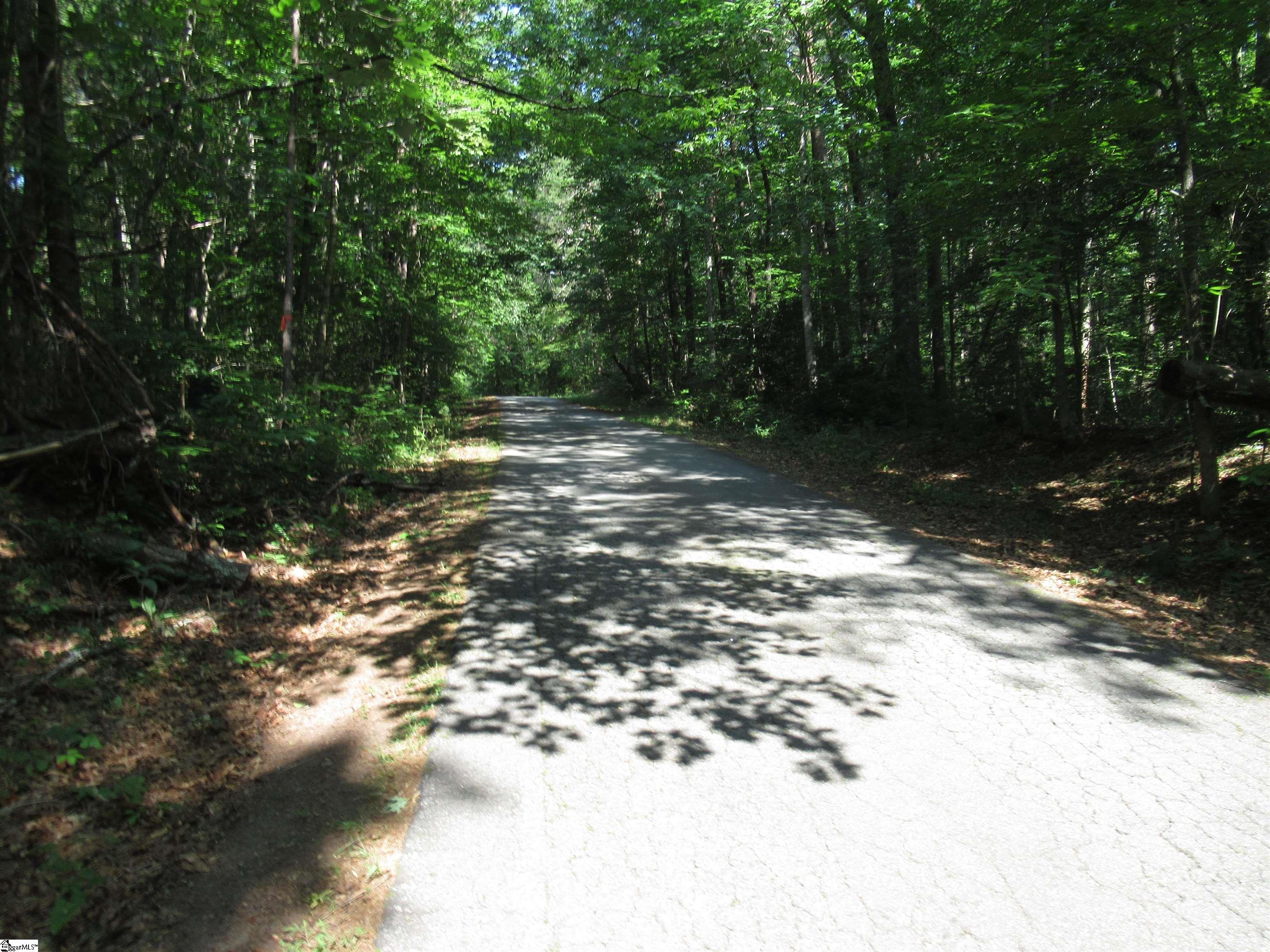 205 Gauley Falls Road Pickens, SC 29671