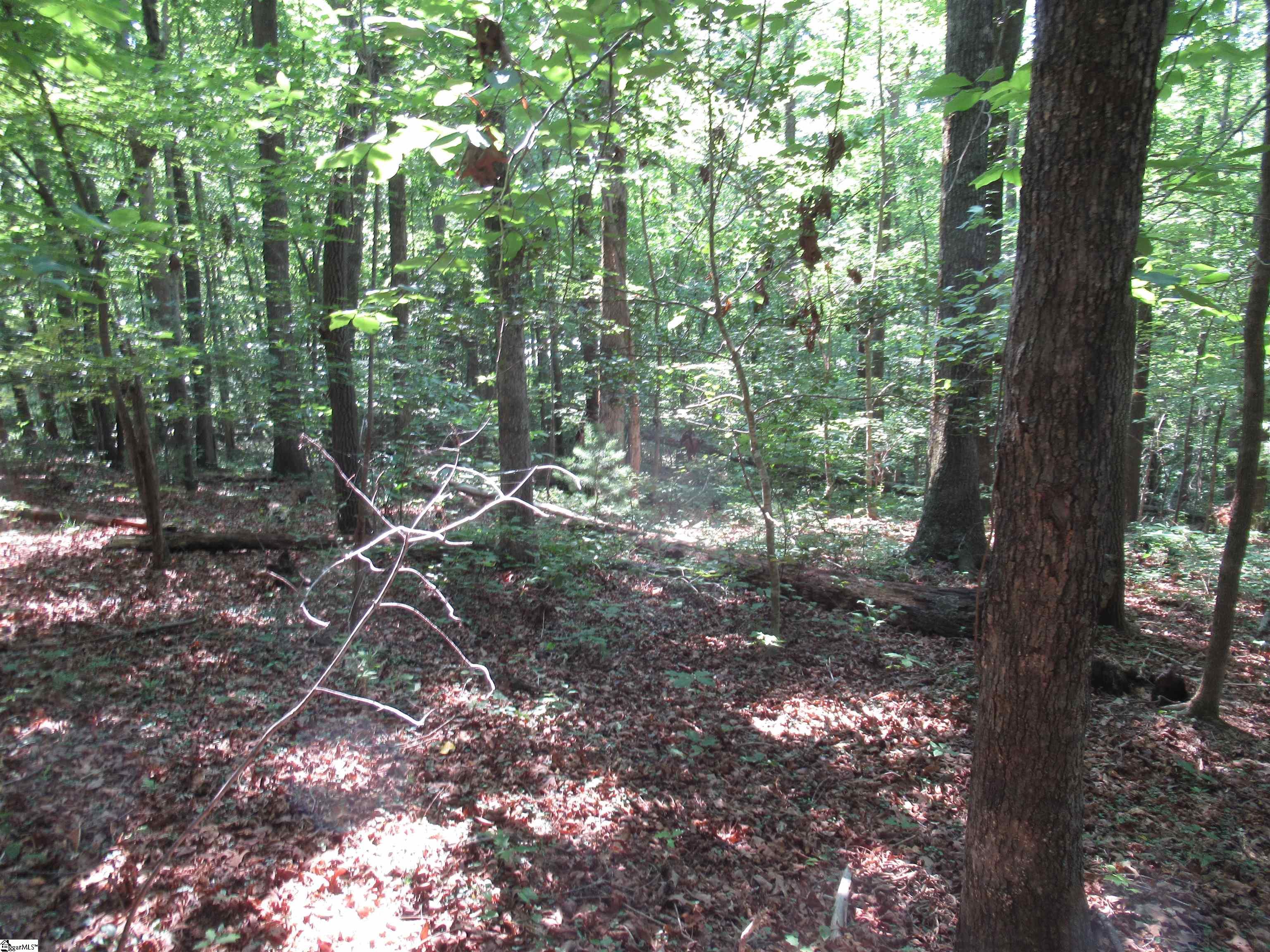 205 Gauley Falls Road Pickens, SC 29671
