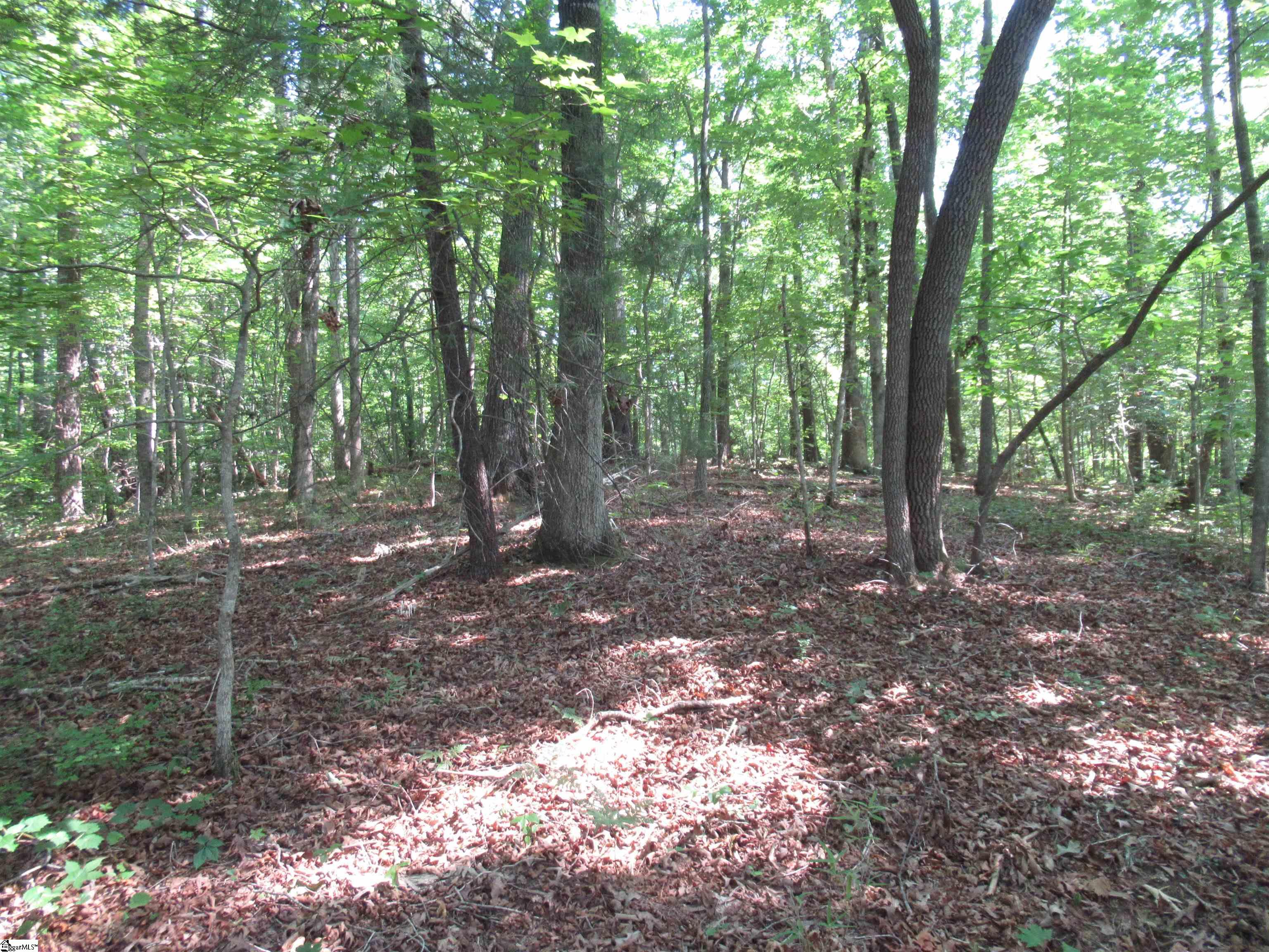 205 Gauley Falls Road Pickens, SC 29671