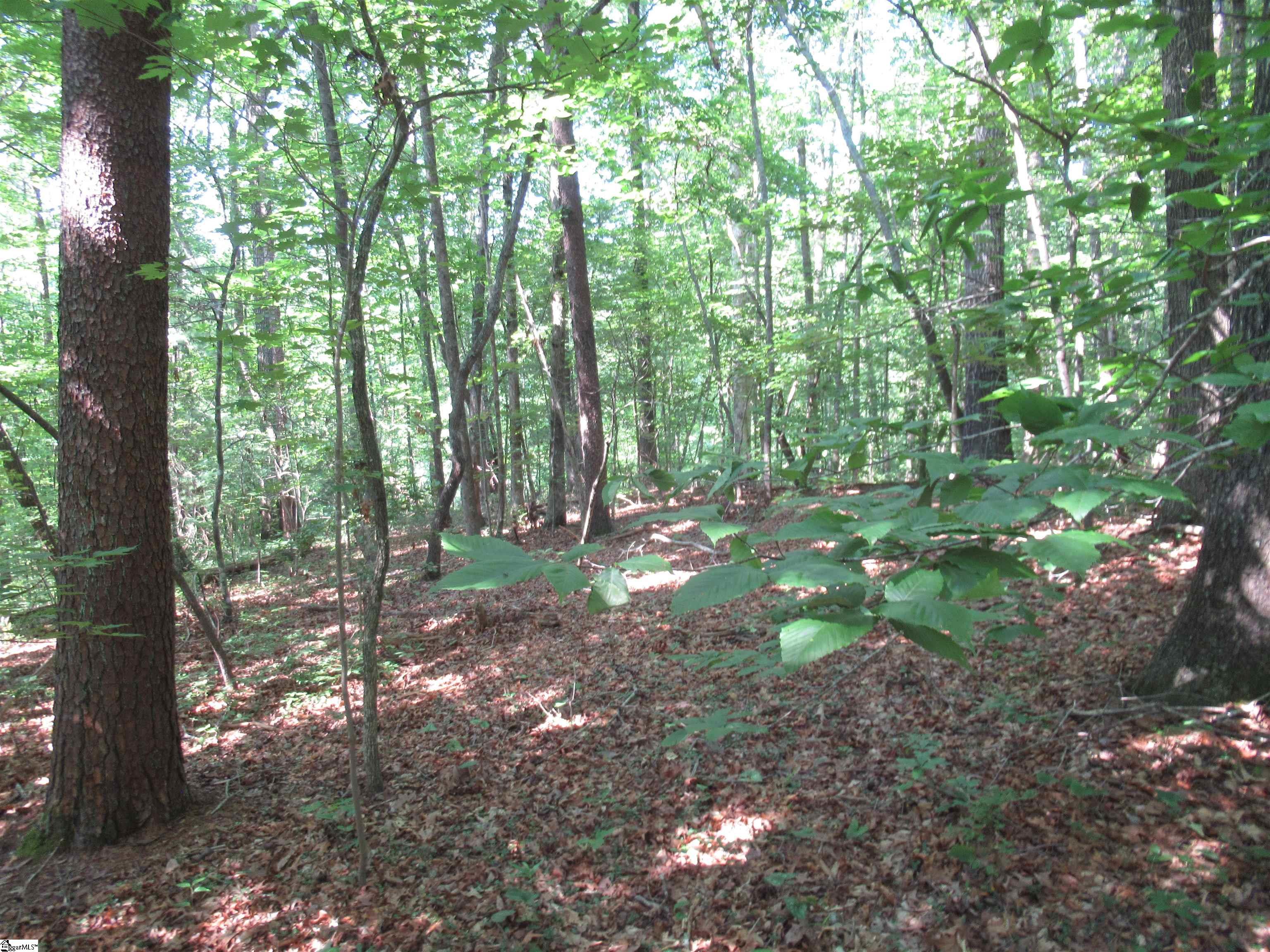 205 Gauley Falls Road Pickens, SC 29671