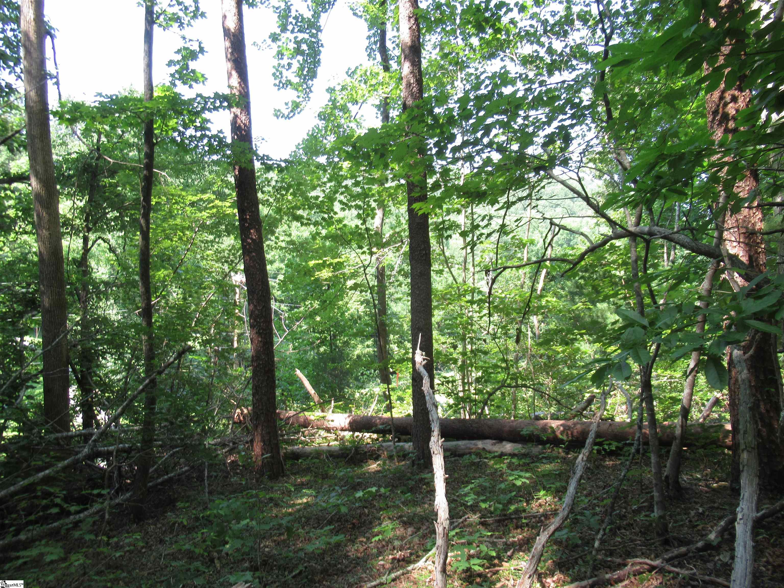 205 Gauley Falls Road Pickens, SC 29671