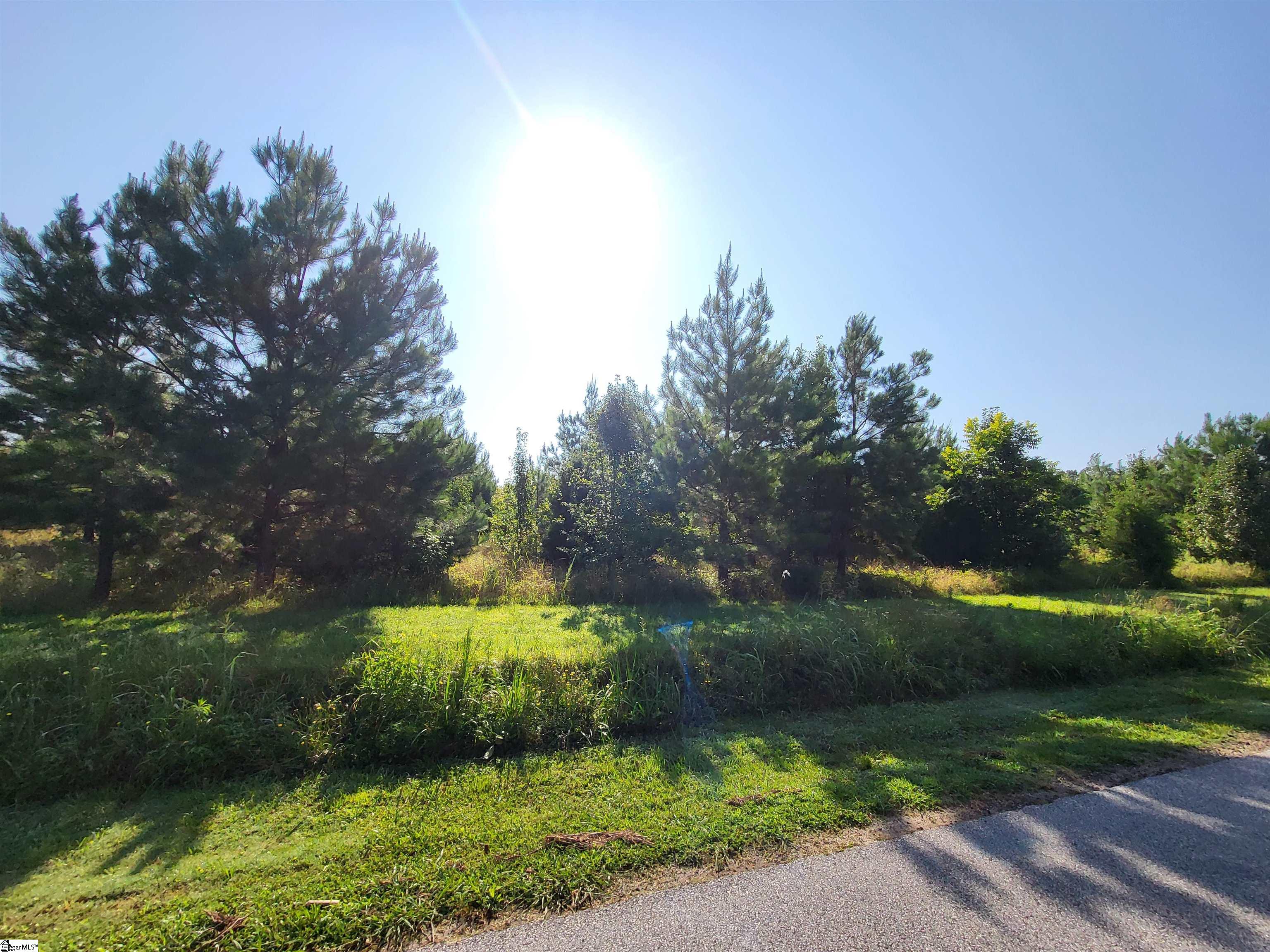 00 S McElhaney Road Greer, SC 29651