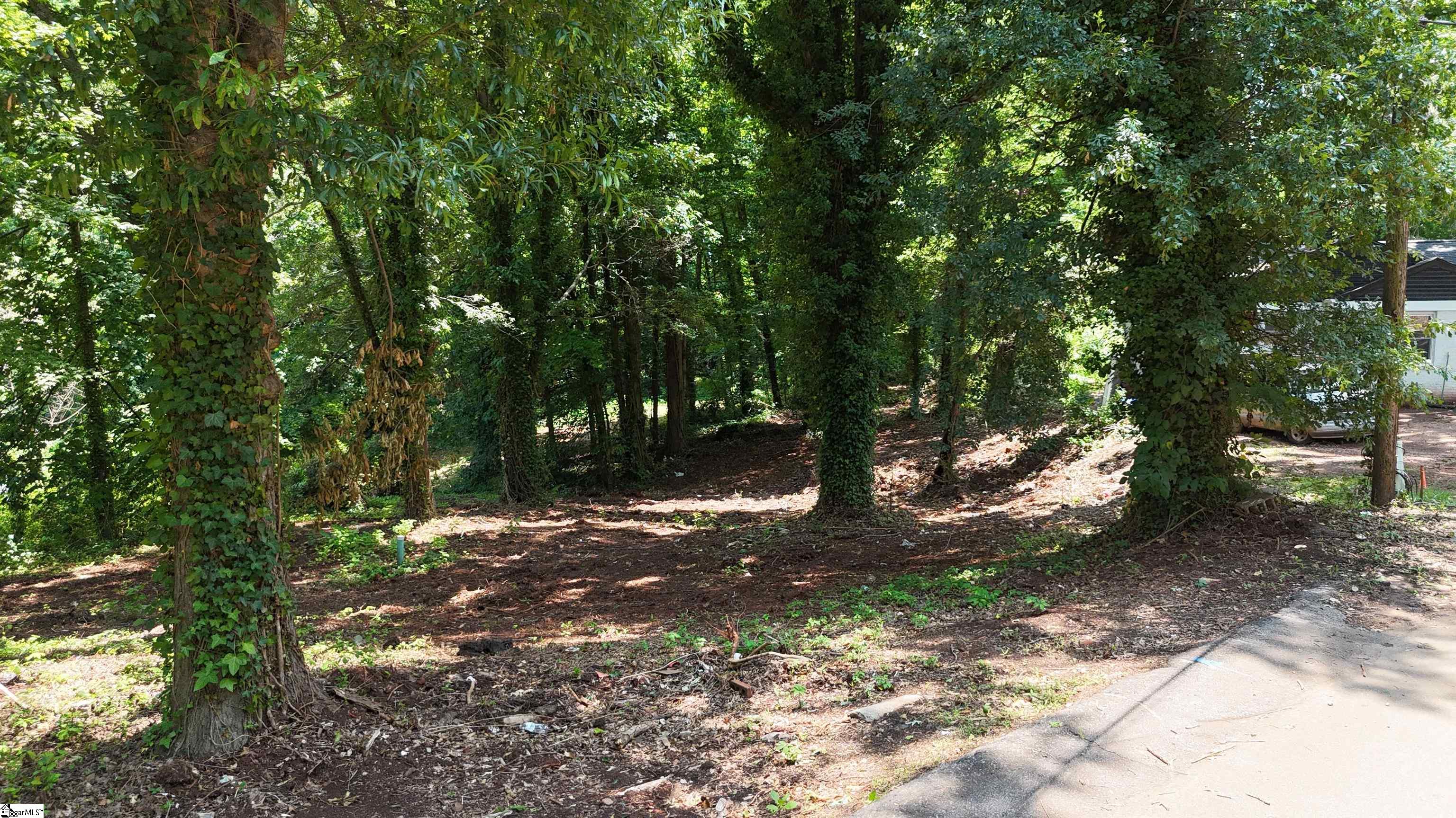 101 Pear Street Greenville, SC 29609