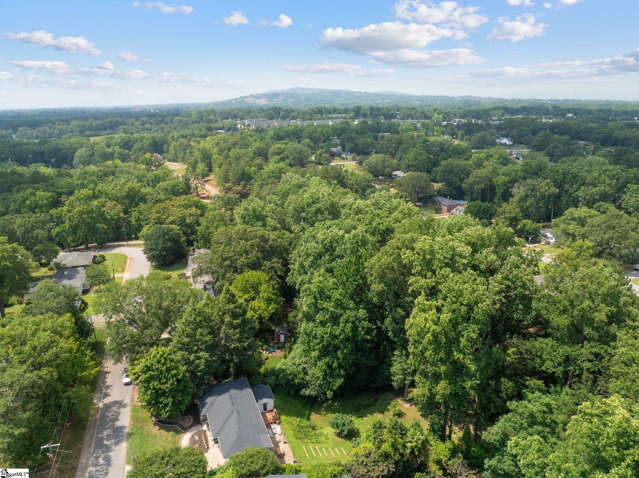 28 Blackburn Street Greenville, SC 29607
