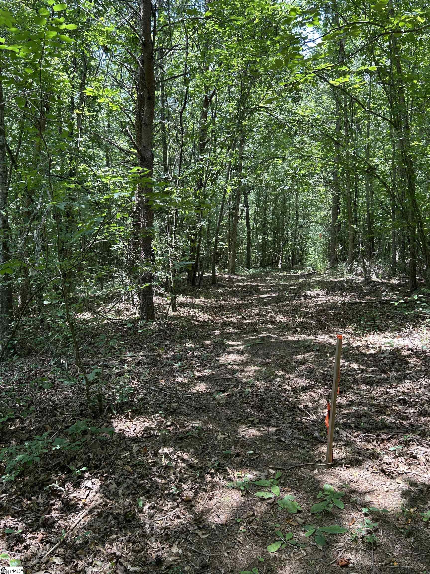 171 Henderson Trail Chesnee, SC 29323