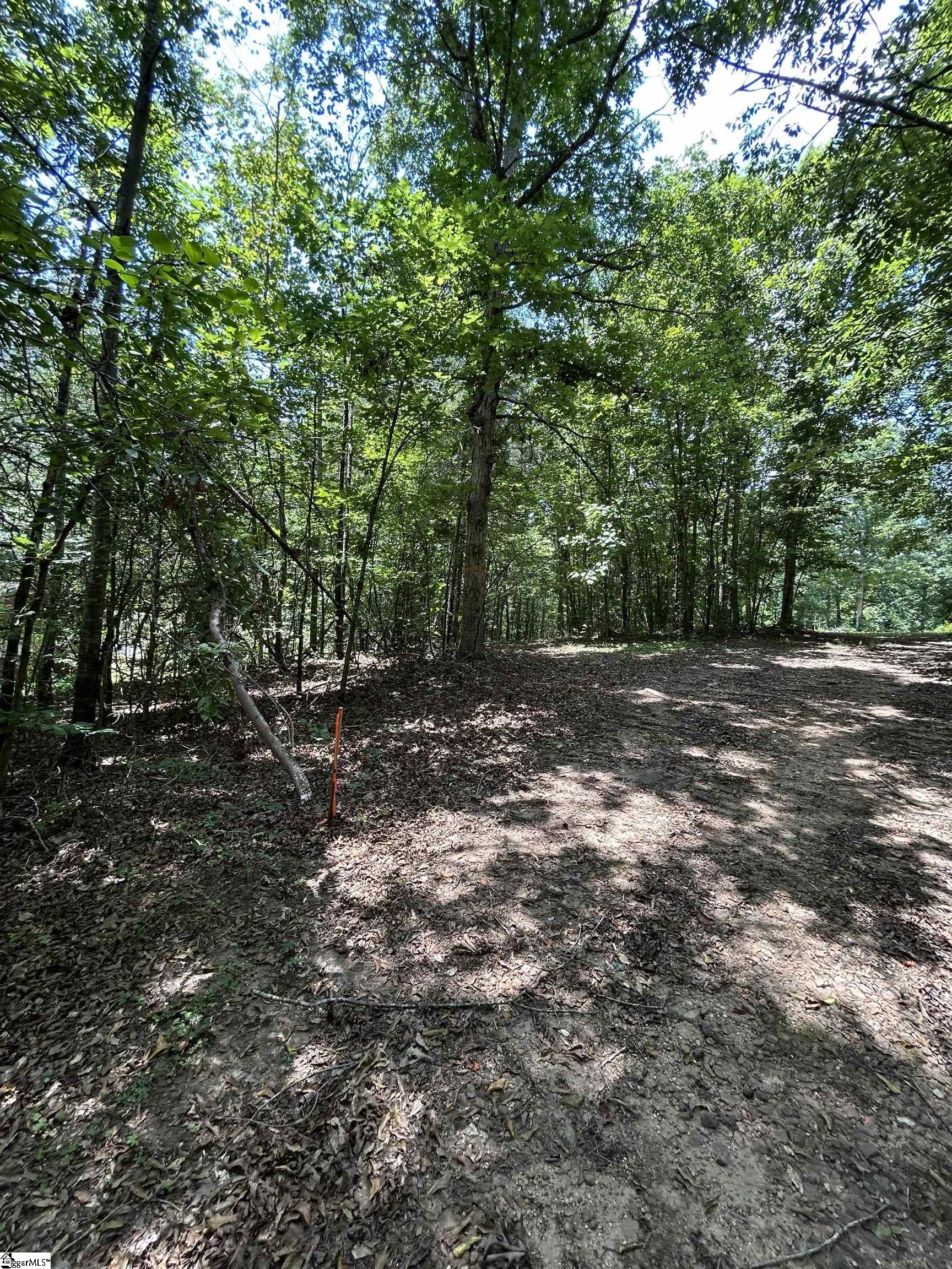 171 Henderson Trail Chesnee, SC 29323