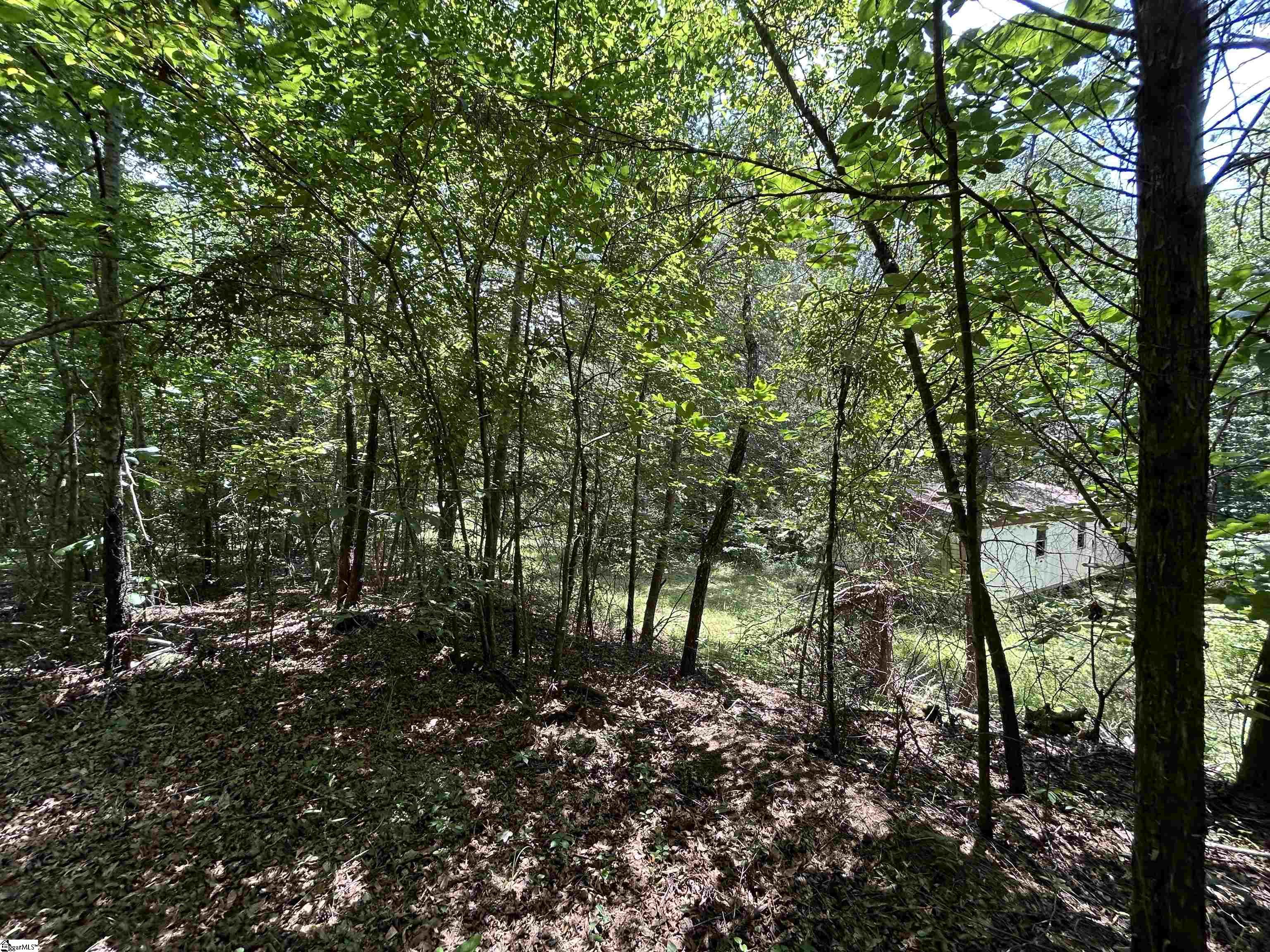 171 Henderson Trail Chesnee, SC 29323