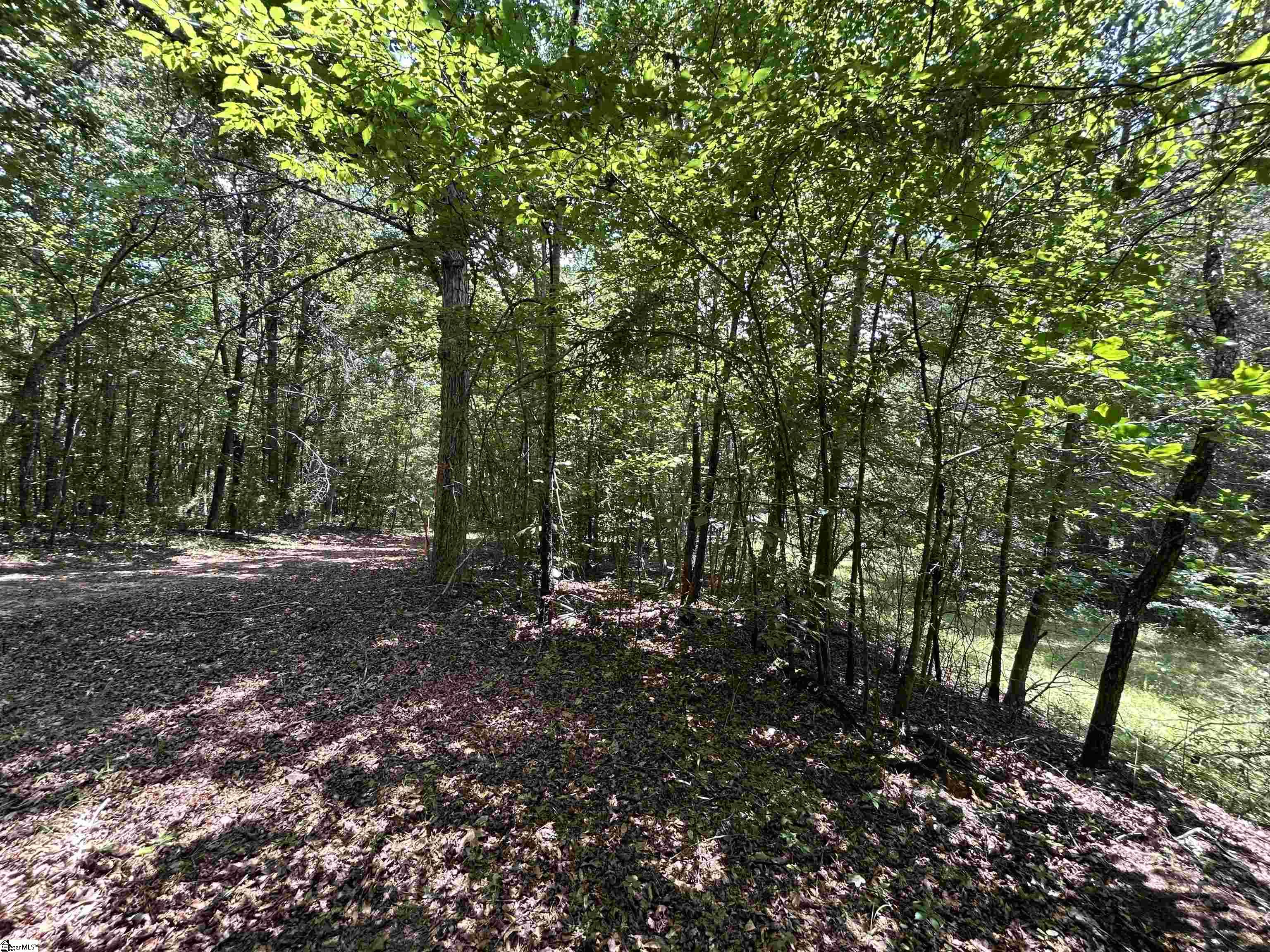 171 Henderson Trail Chesnee, SC 29323