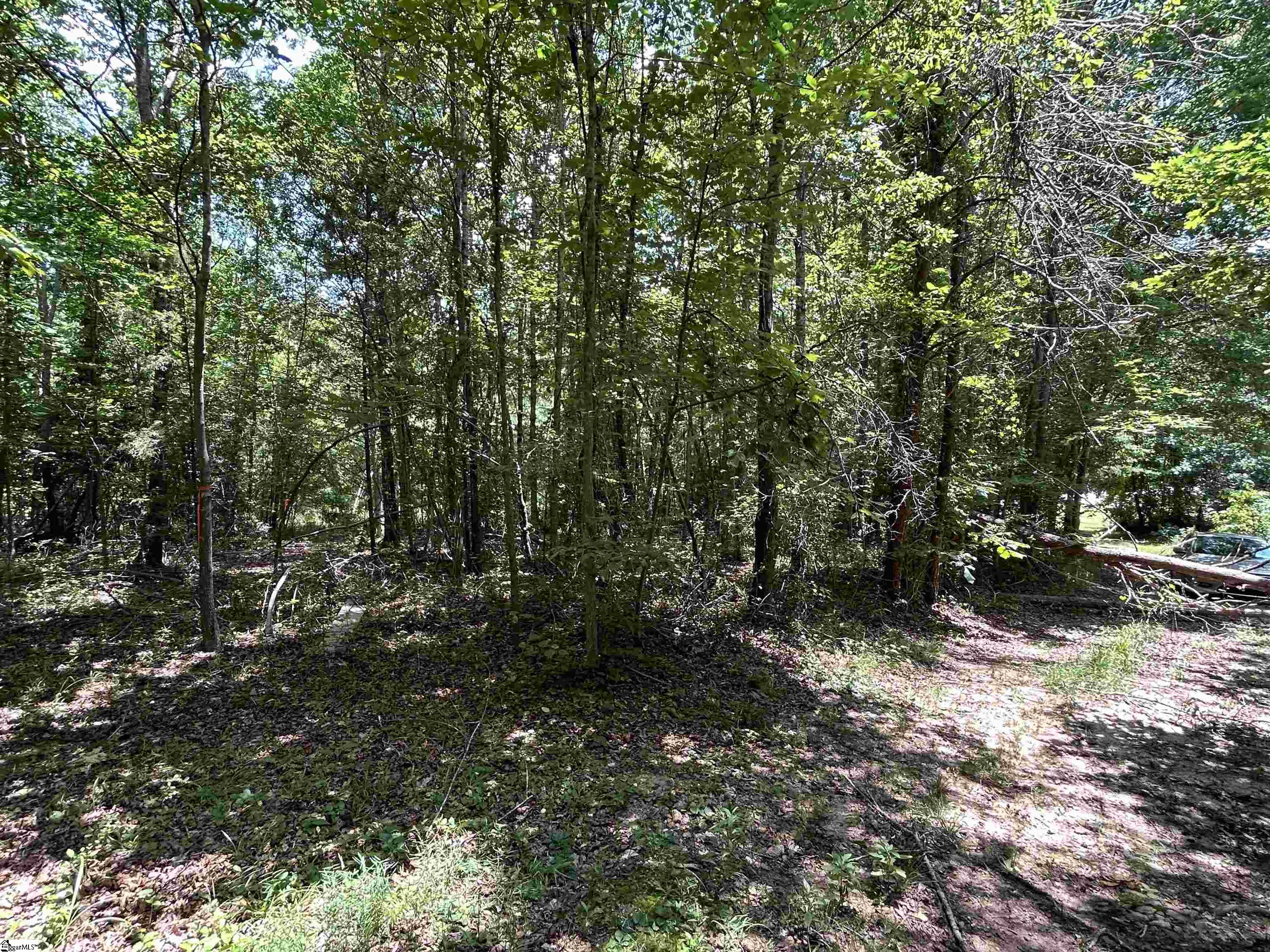 171 Henderson Trail Chesnee, SC 29323