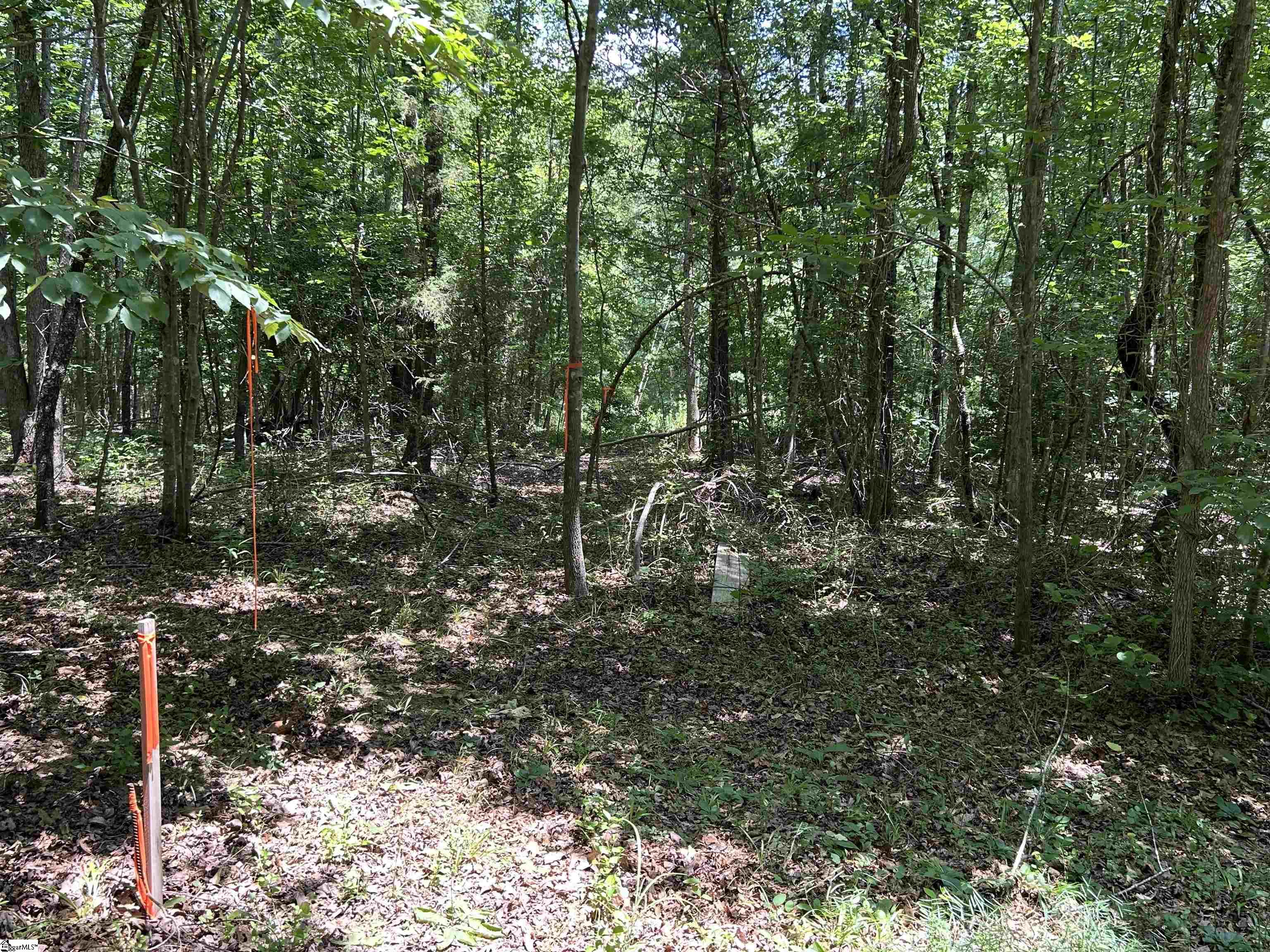 171 Henderson Trail Chesnee, SC 29323