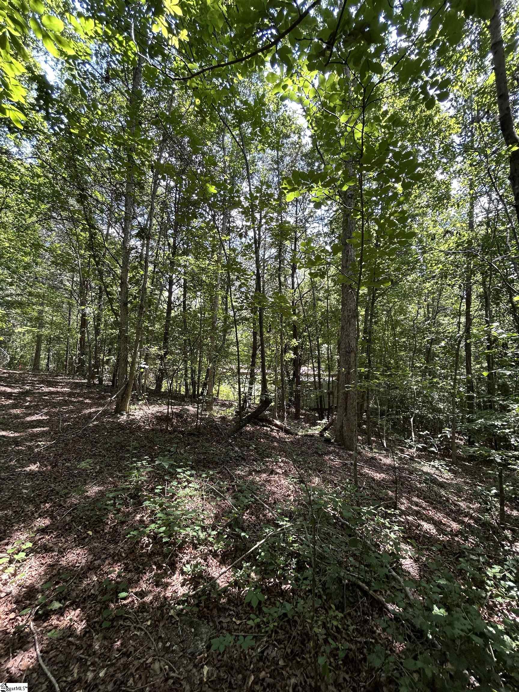 171 Henderson Trail Chesnee, SC 29323