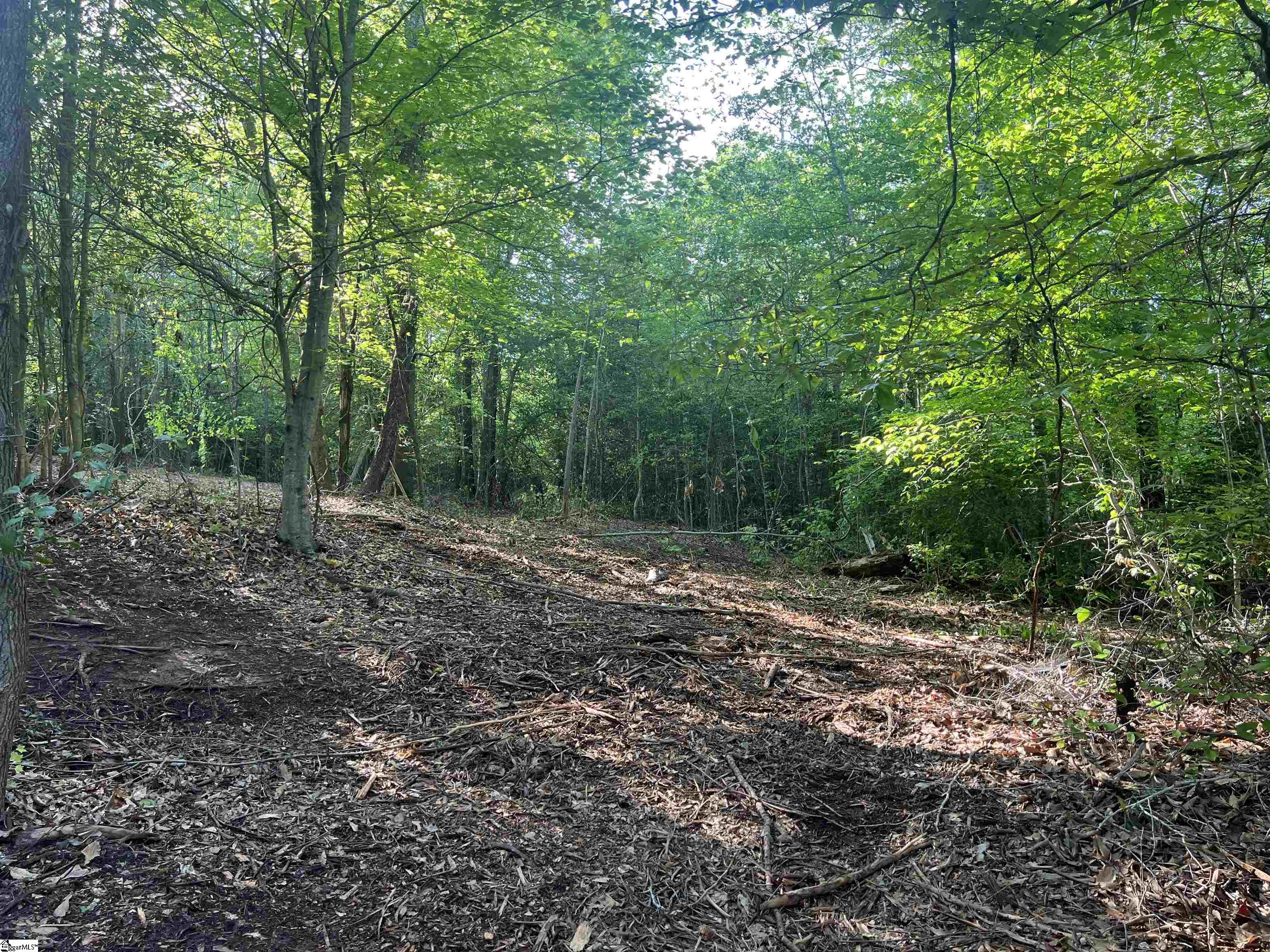 00 Broadway Lake UNIT Lot 3 Anderson, SC 29621