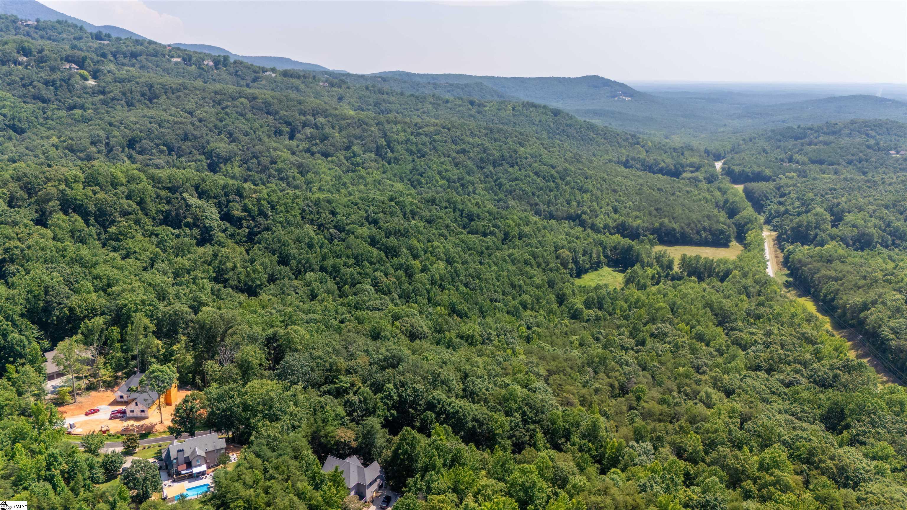 43 Angleblade Road Landrum, SC 29356