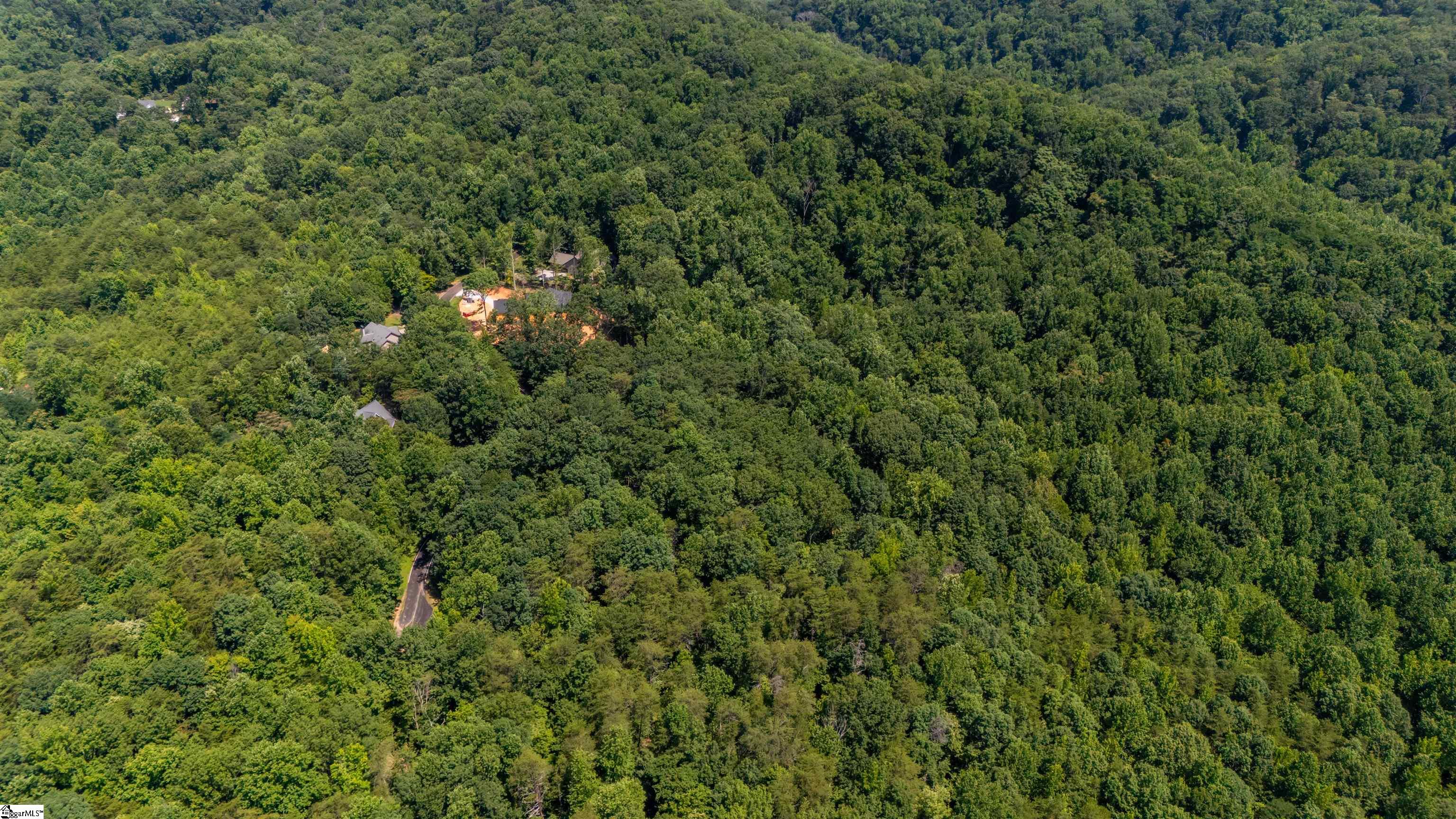 43 Angleblade Road Landrum, SC 29356