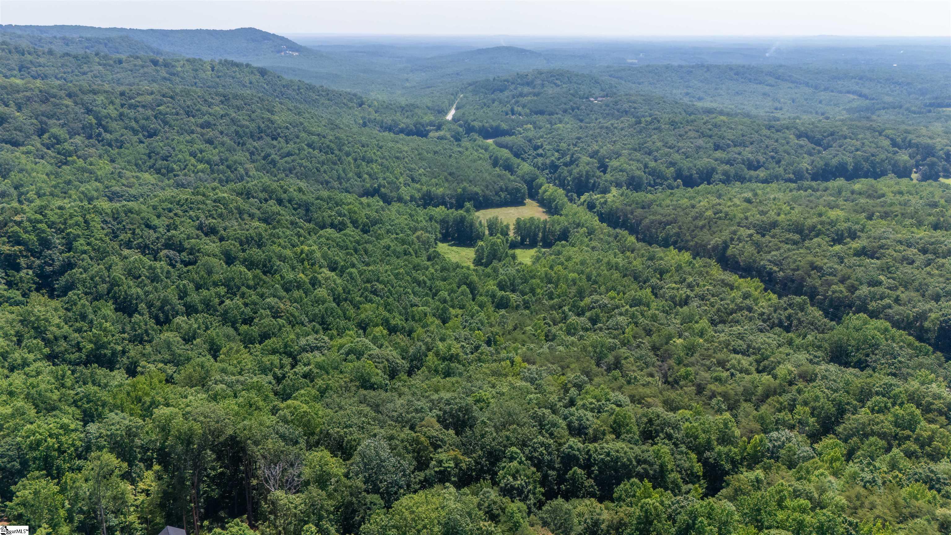 43 Angleblade Road Landrum, SC 29356