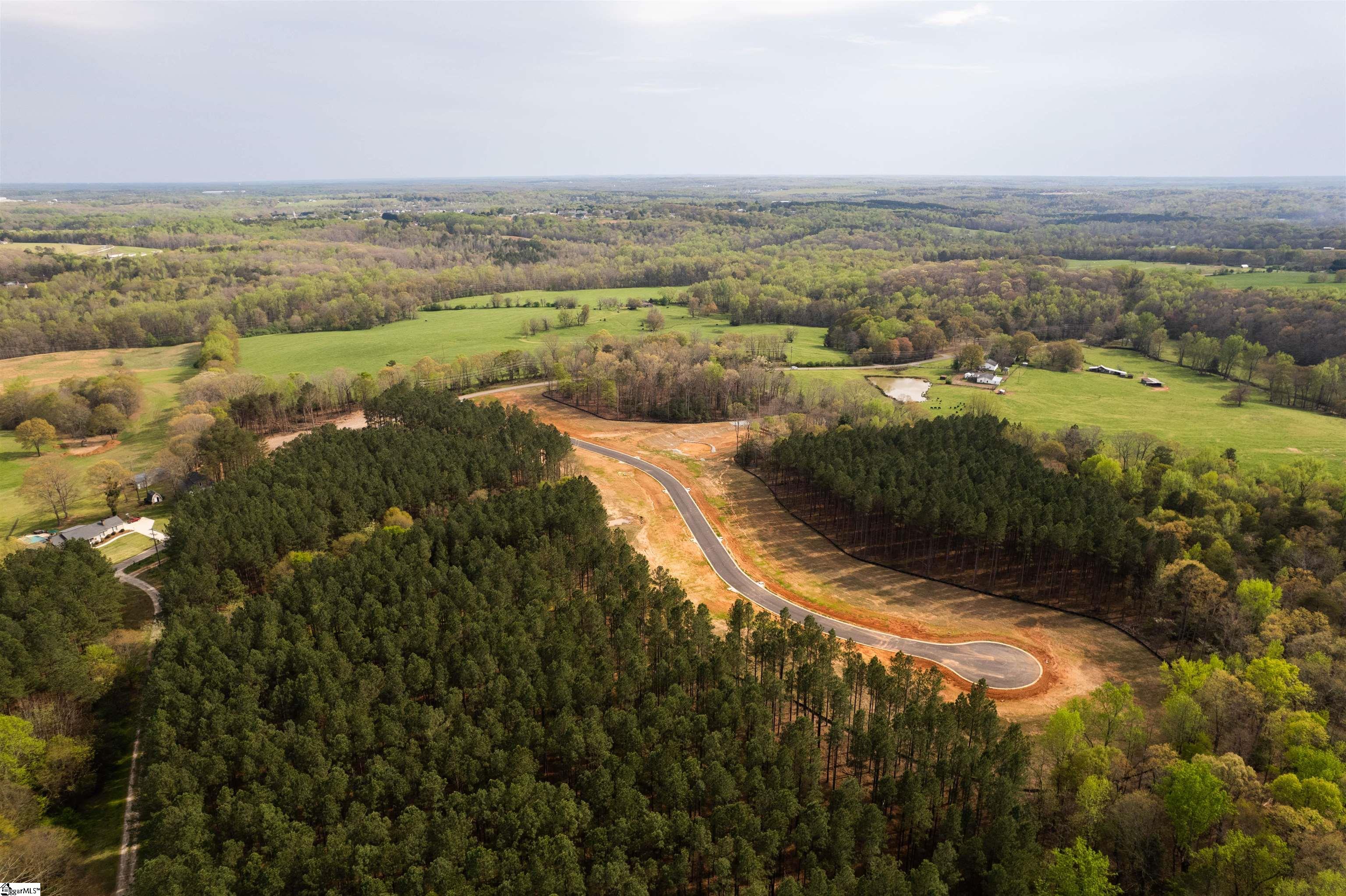 20 Danielsen Way UNIT Lot 8 Greer, SC 29651