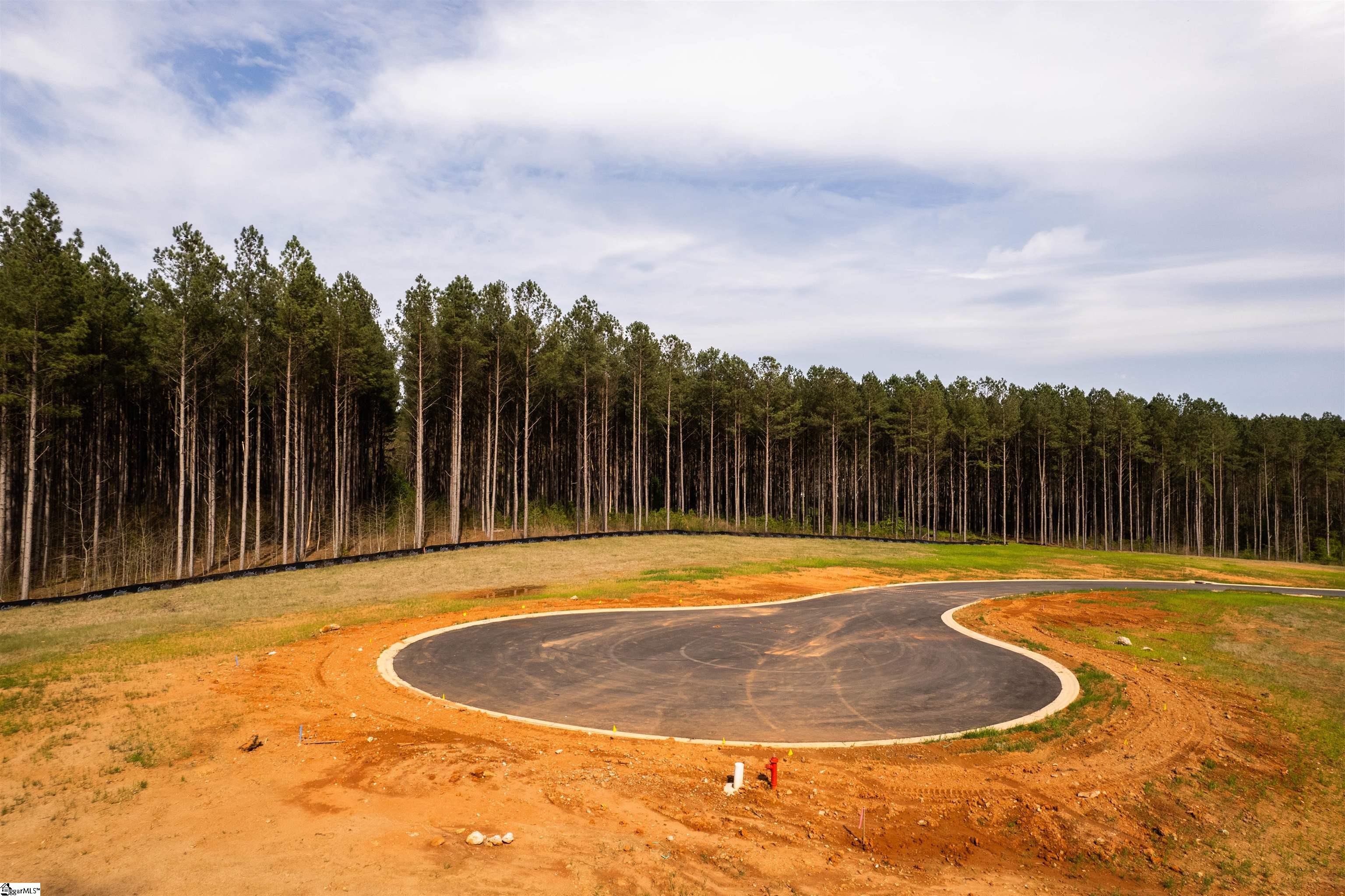 20 Danielsen Way UNIT Lot 8 Greer, SC 29651