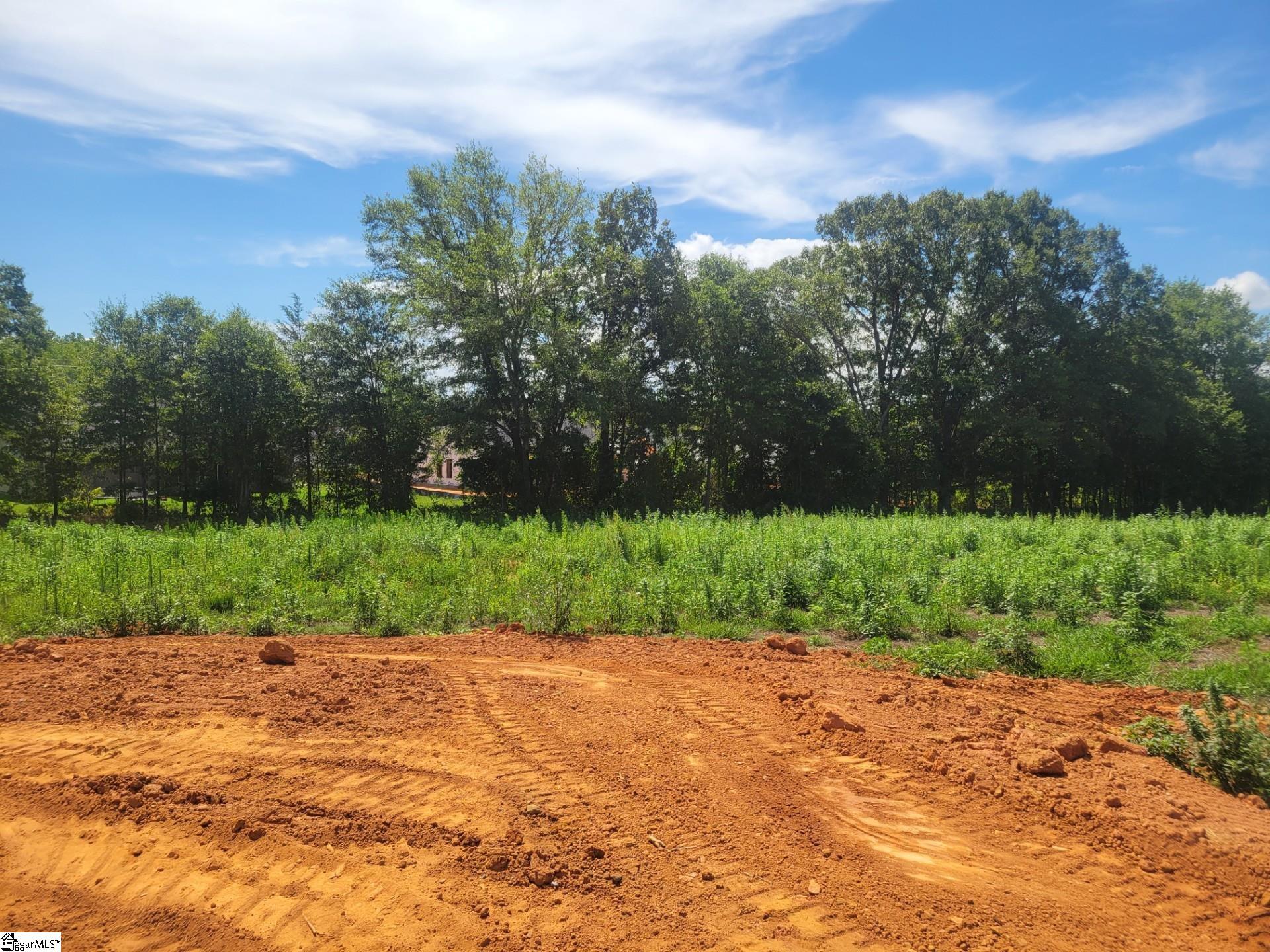 521 Livingston Way UNIT Lot 25 Inman, SC 29350