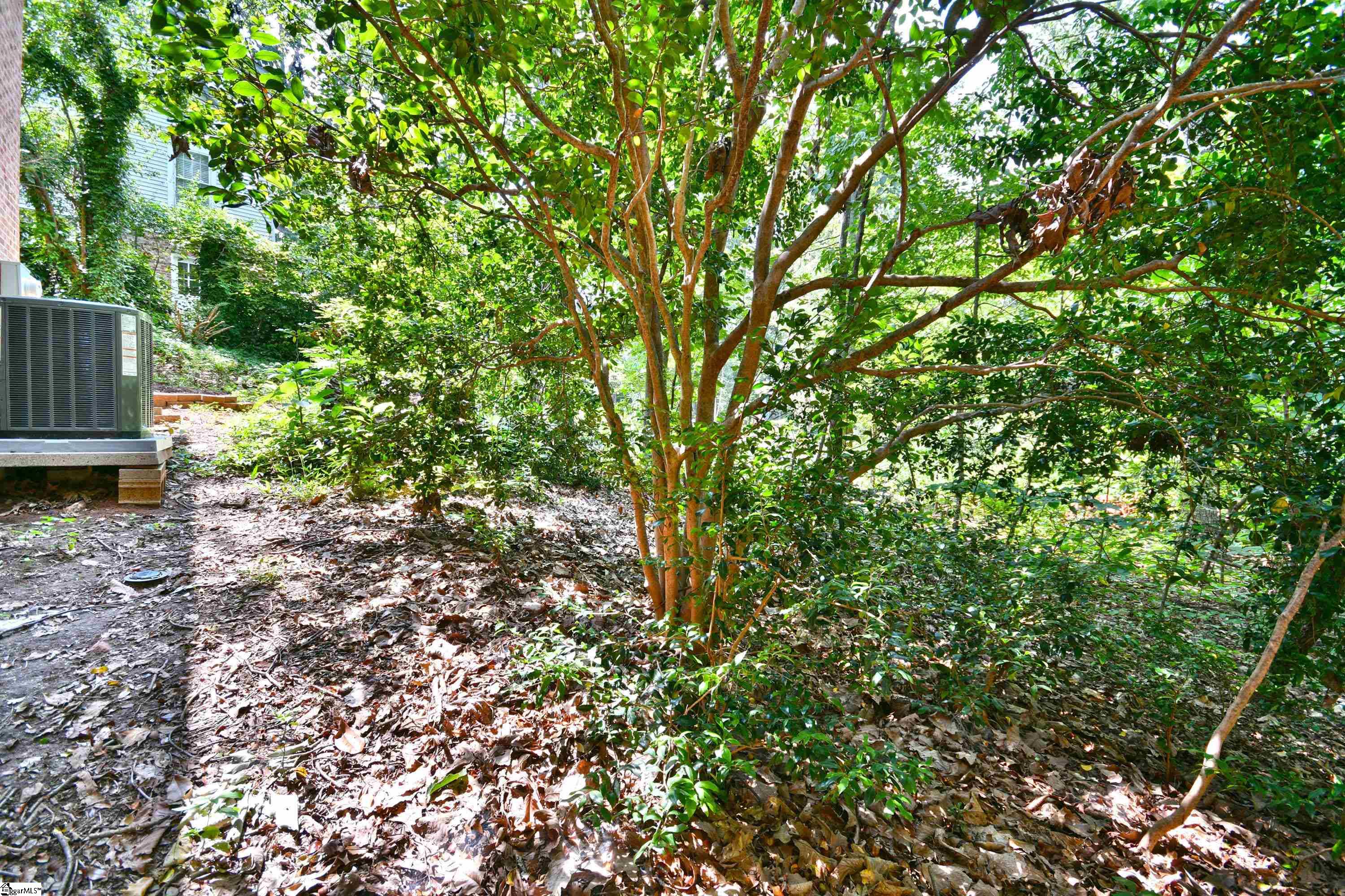 217 Blue Ridge Drive Greer, SC 29651