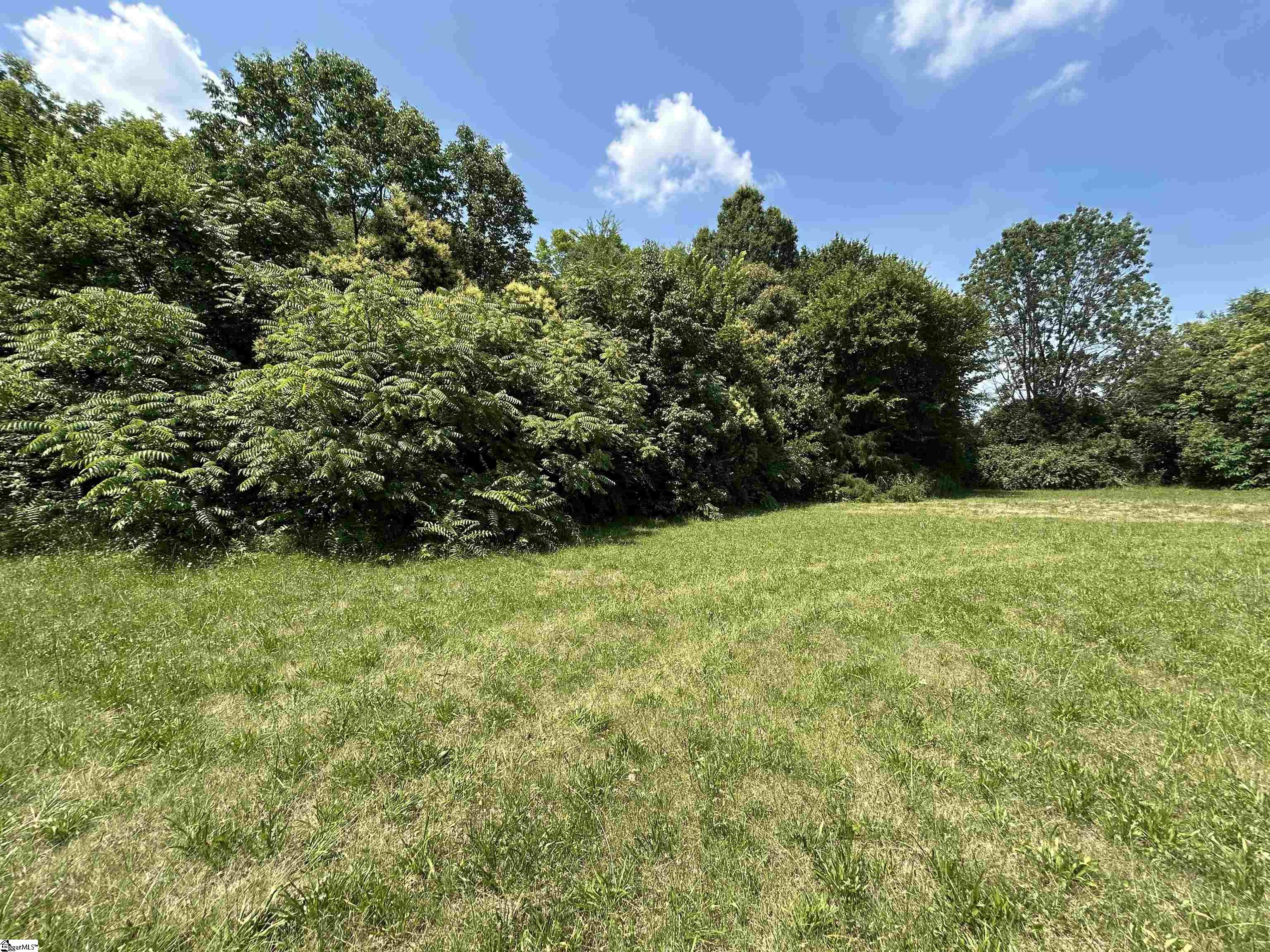 00 Meadow Street UNIT Lot 2 & 2A Gaffney, SC 29342